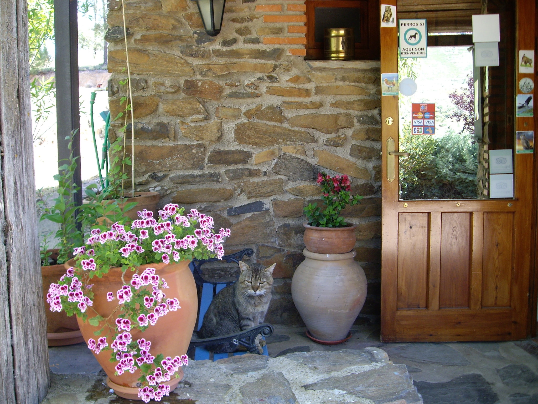   La Casita del Anta