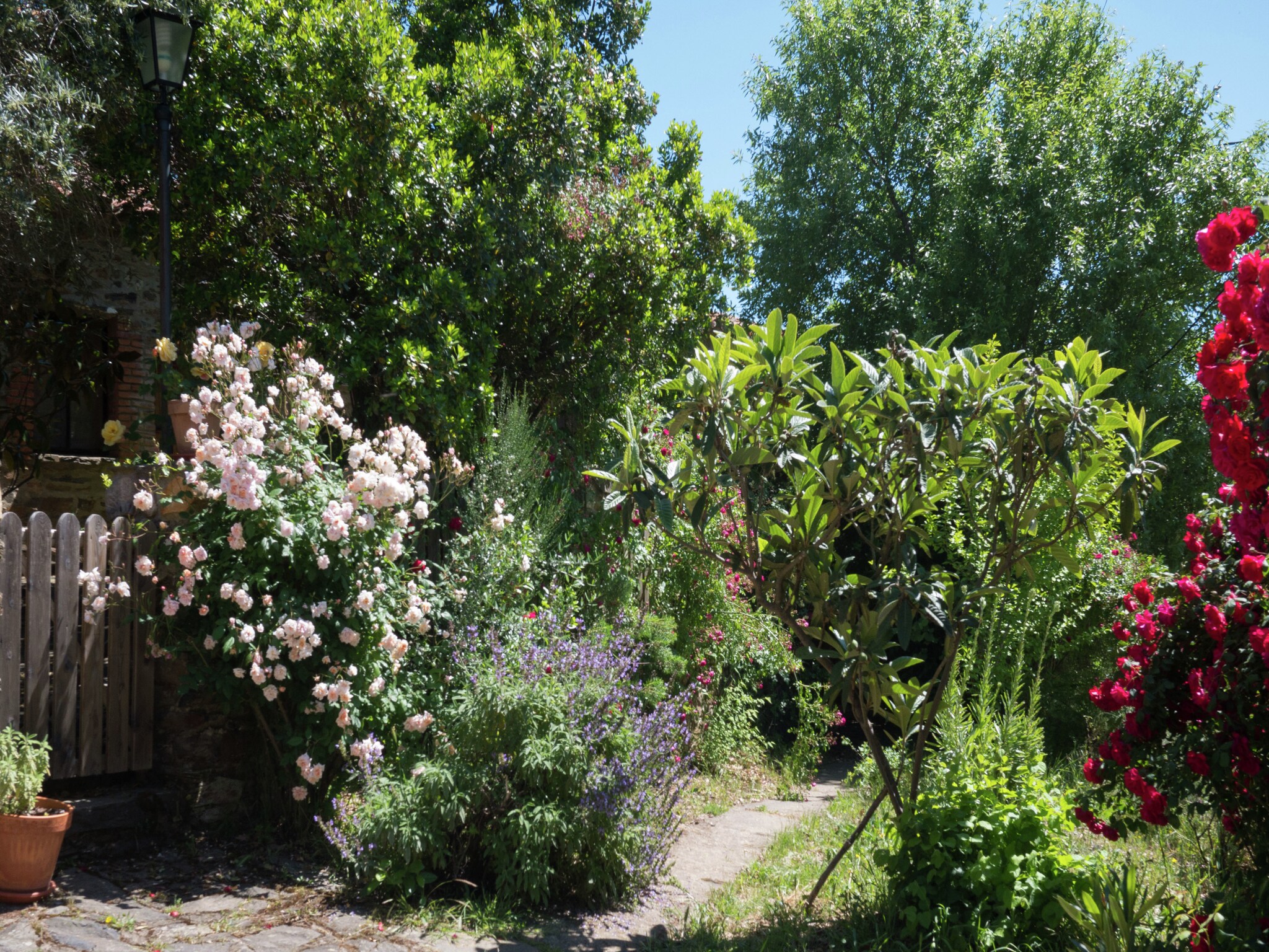   La Casita del Anta