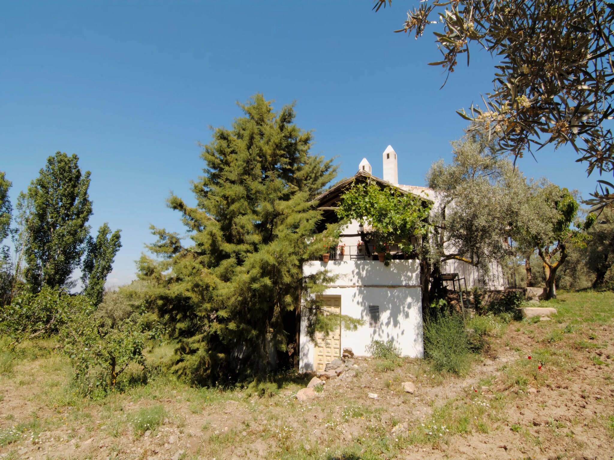 Vacation home Cortijo Los Olivos