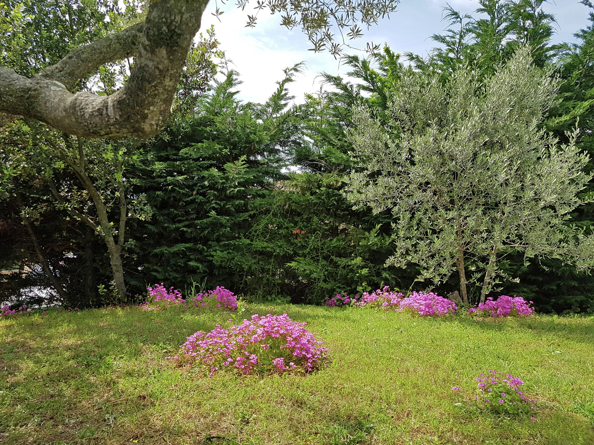 Vacation home L'Oliveraie