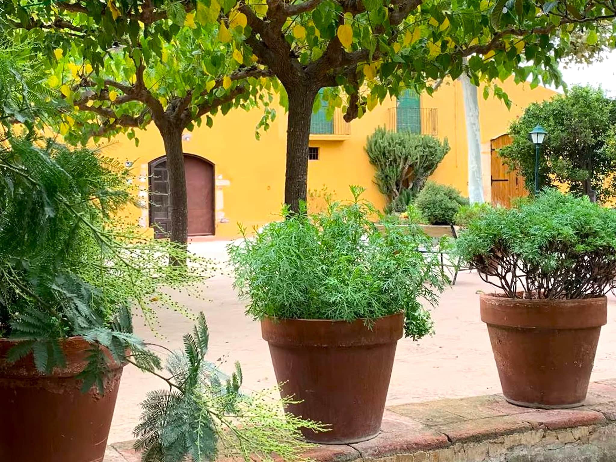 Ferienhaus El Mas Groc 6
