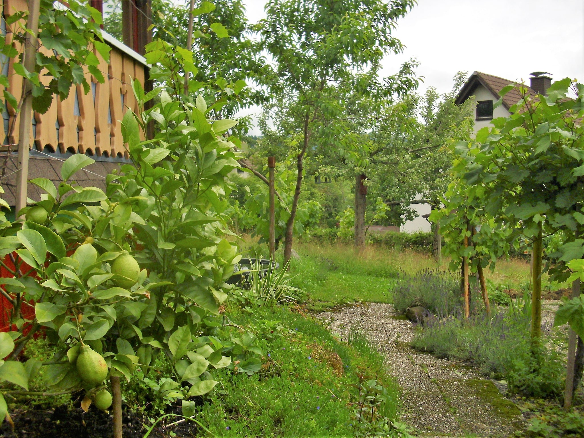 Ferienwohnung Wannenhof