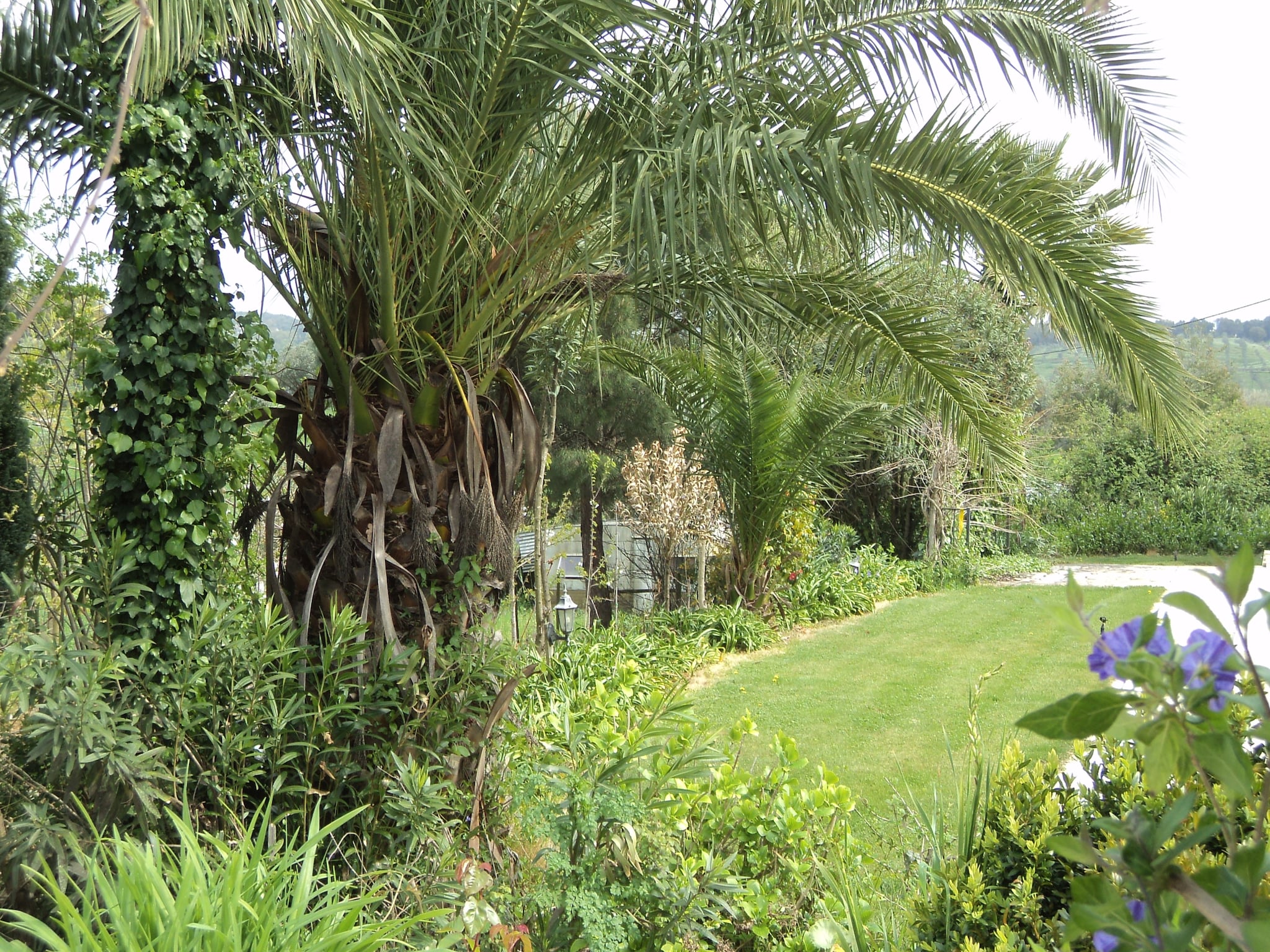   Casa das Flores