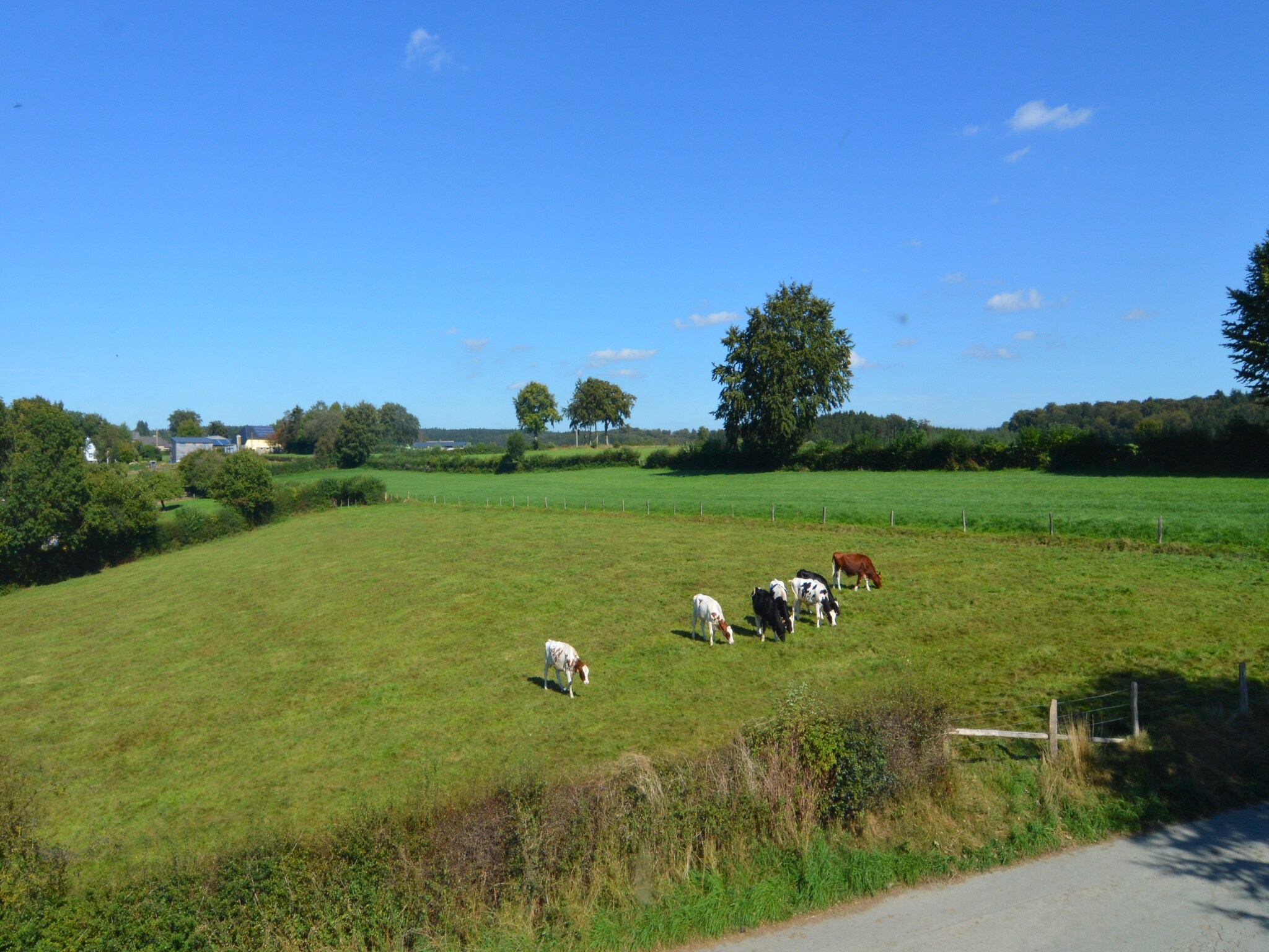 Vakantiehuis La Ferme d'Amel
