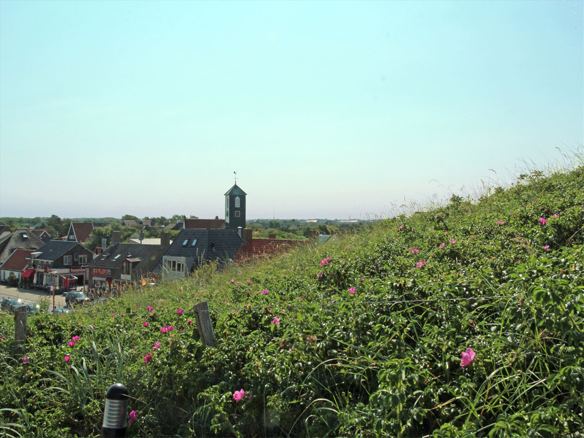   De Roos