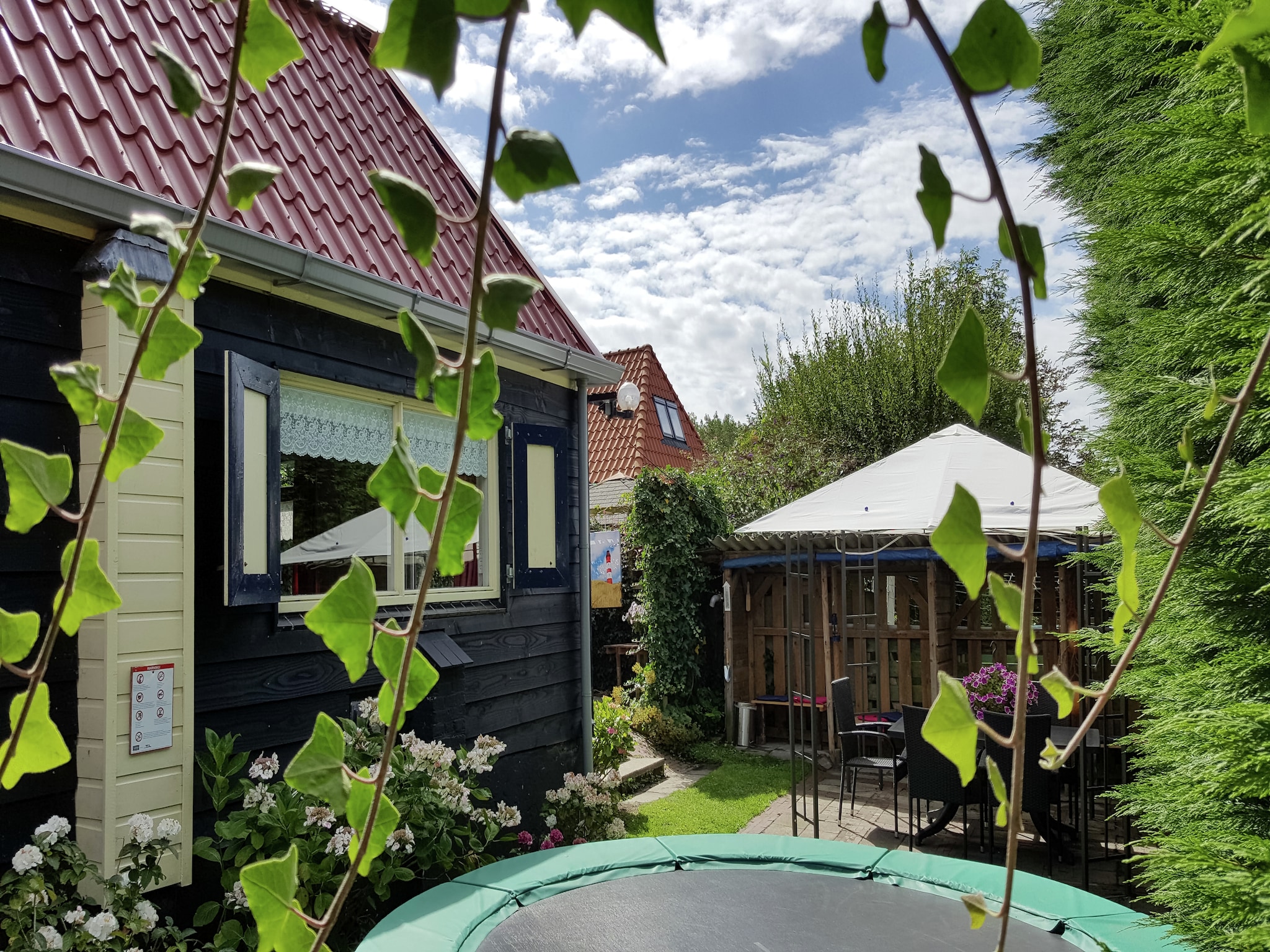   De Roos