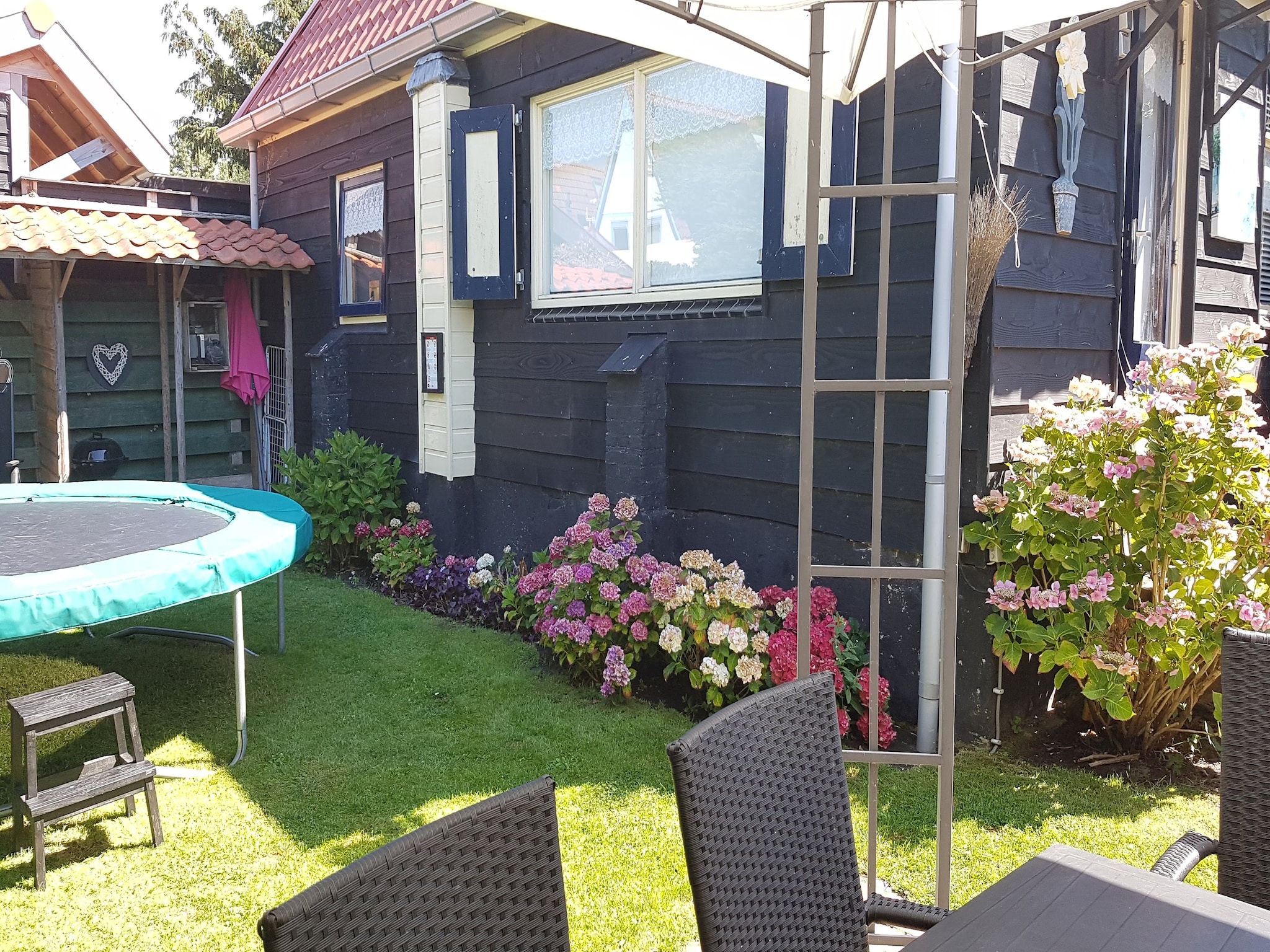   De Roos