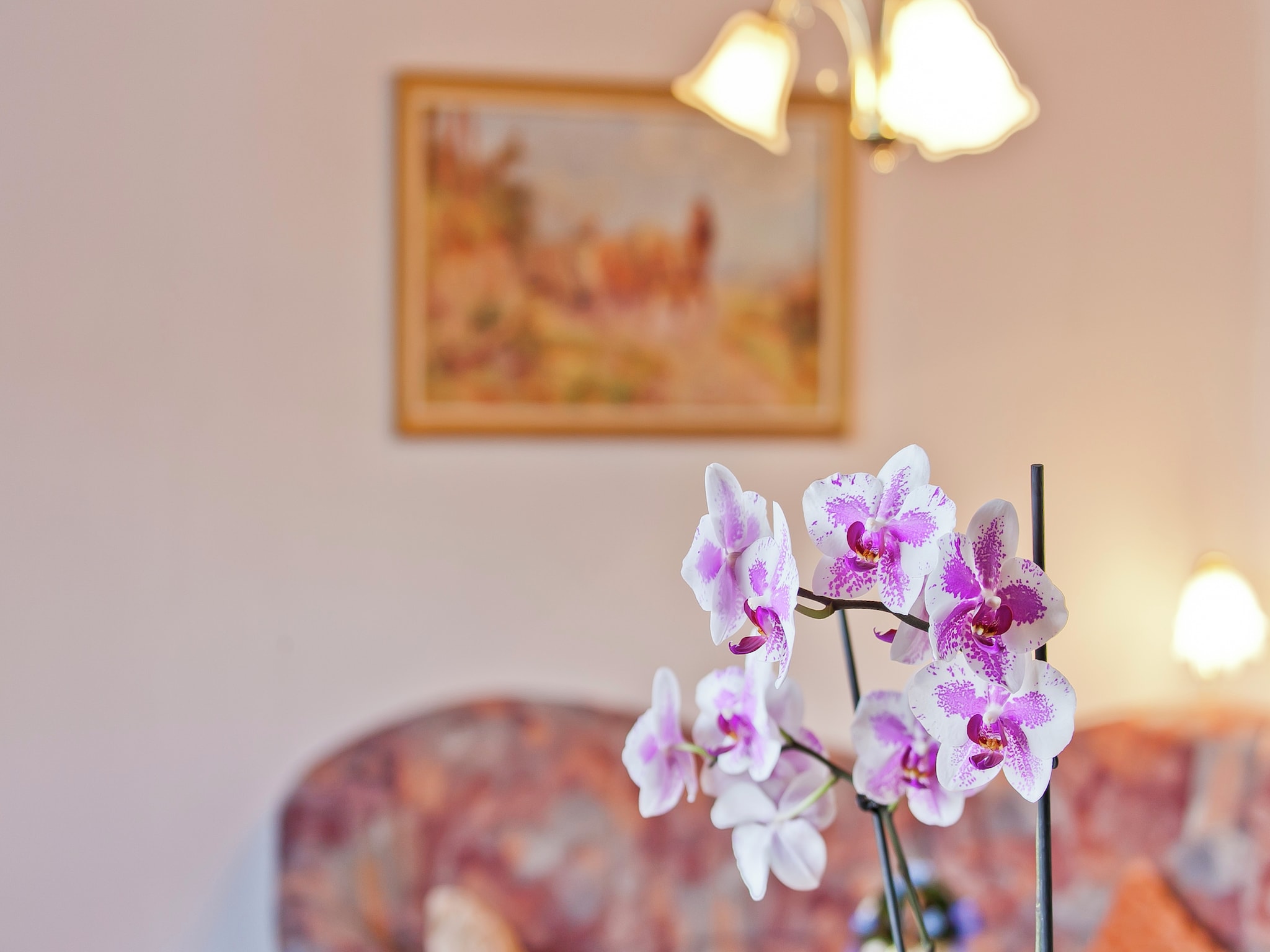 Ferienwohnung Wunder