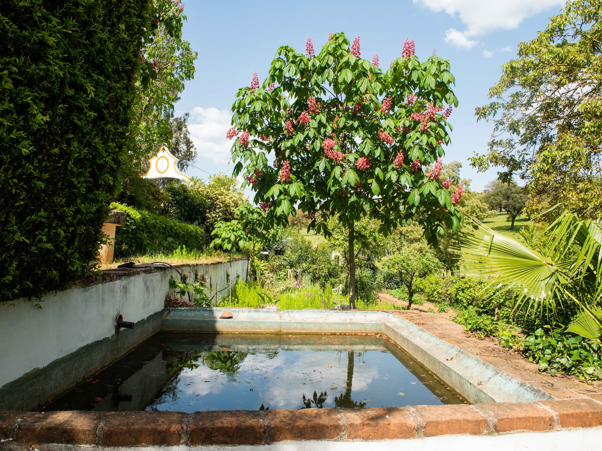 Semesterhus Casa das Pedras