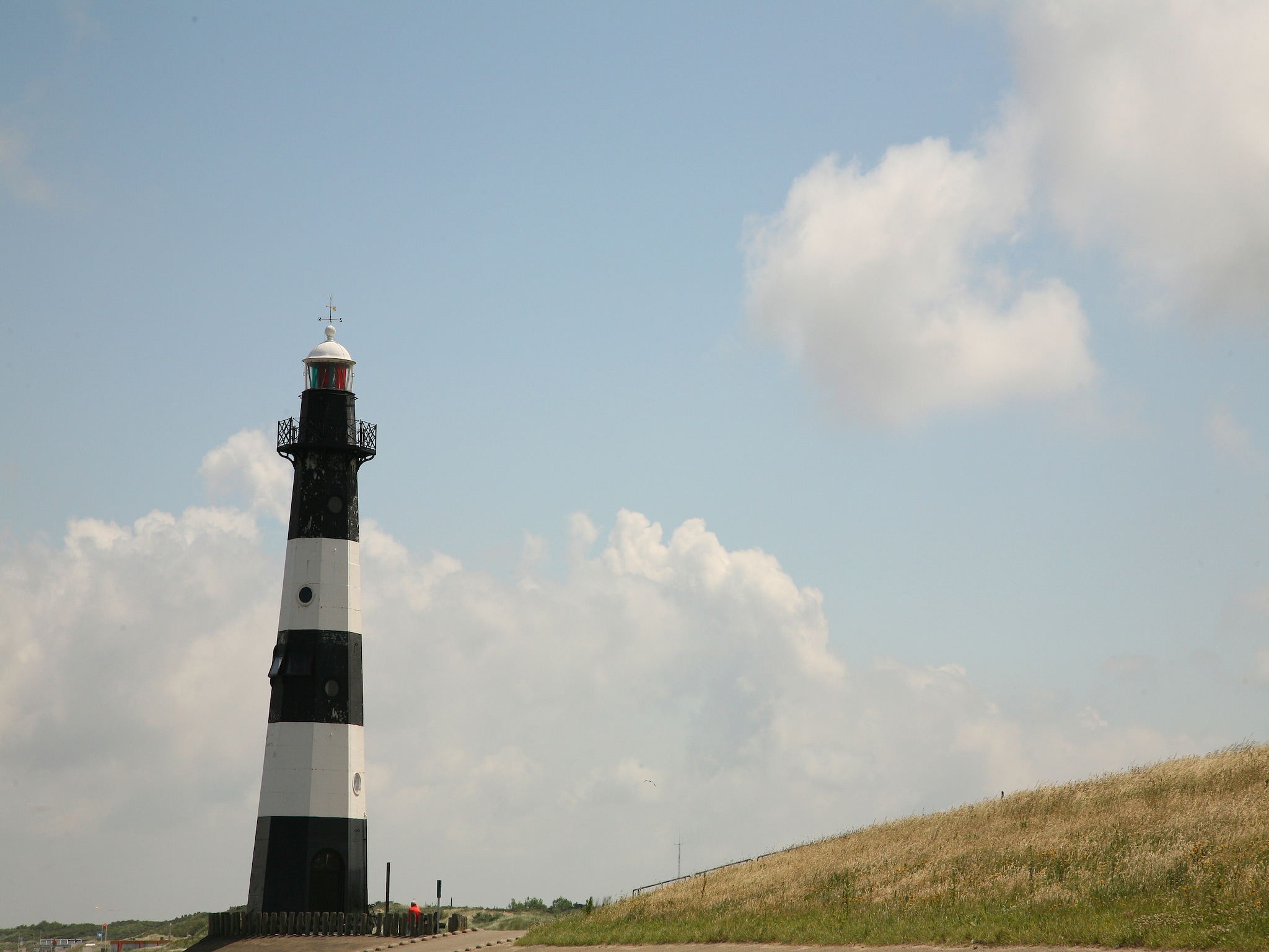   De Zeeschelp