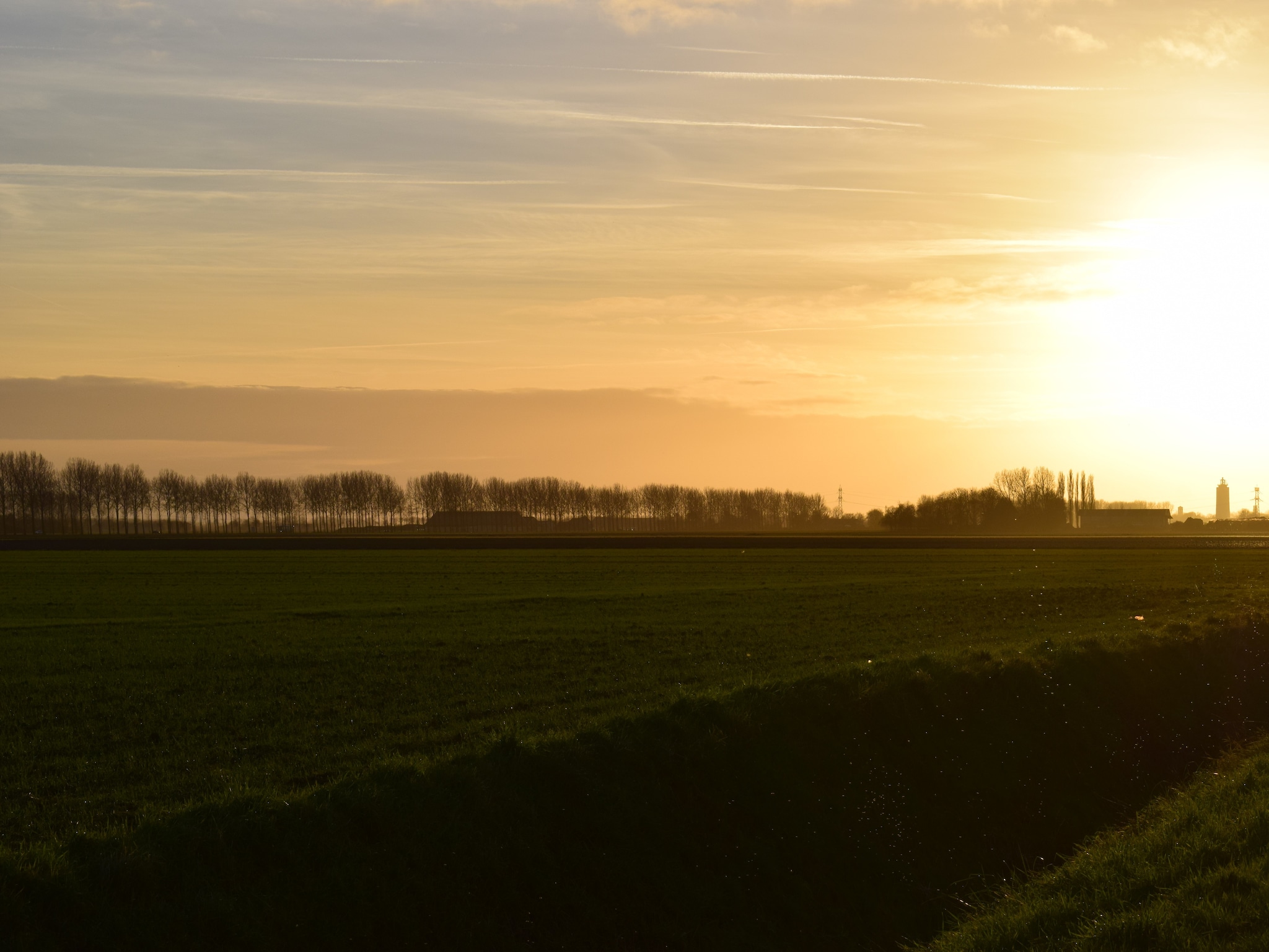   De Zeeschelp