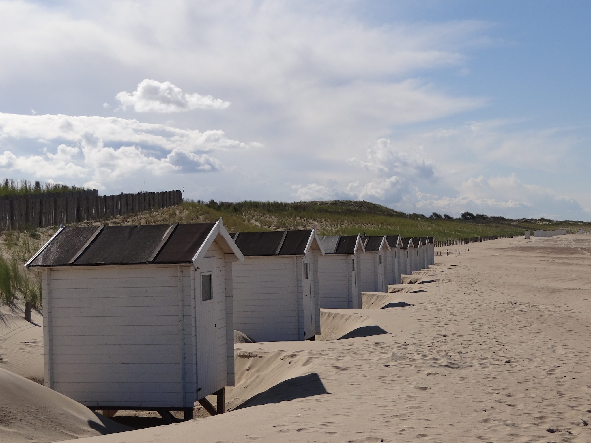   De Zeeschelp