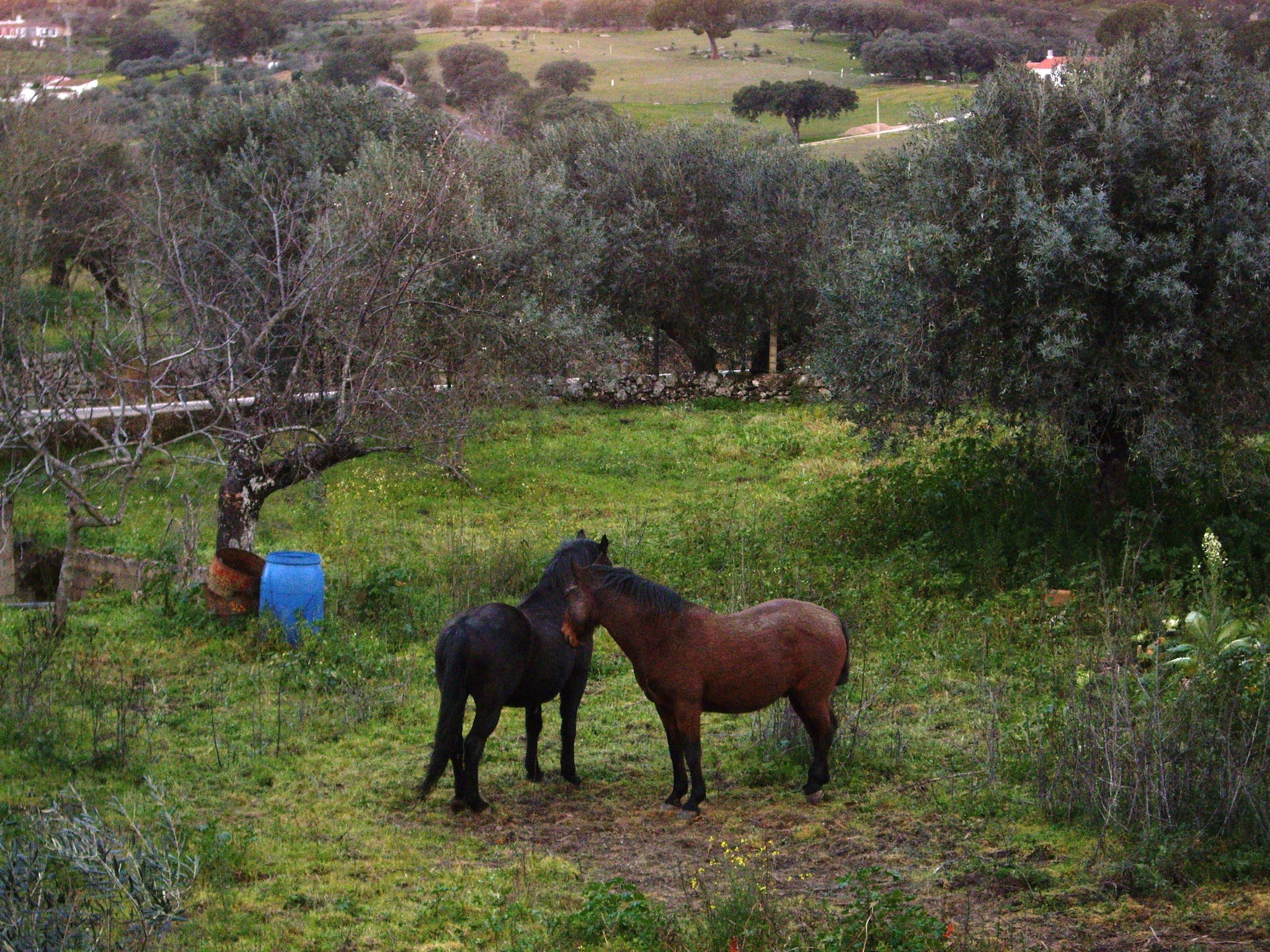   Casita del Estanque