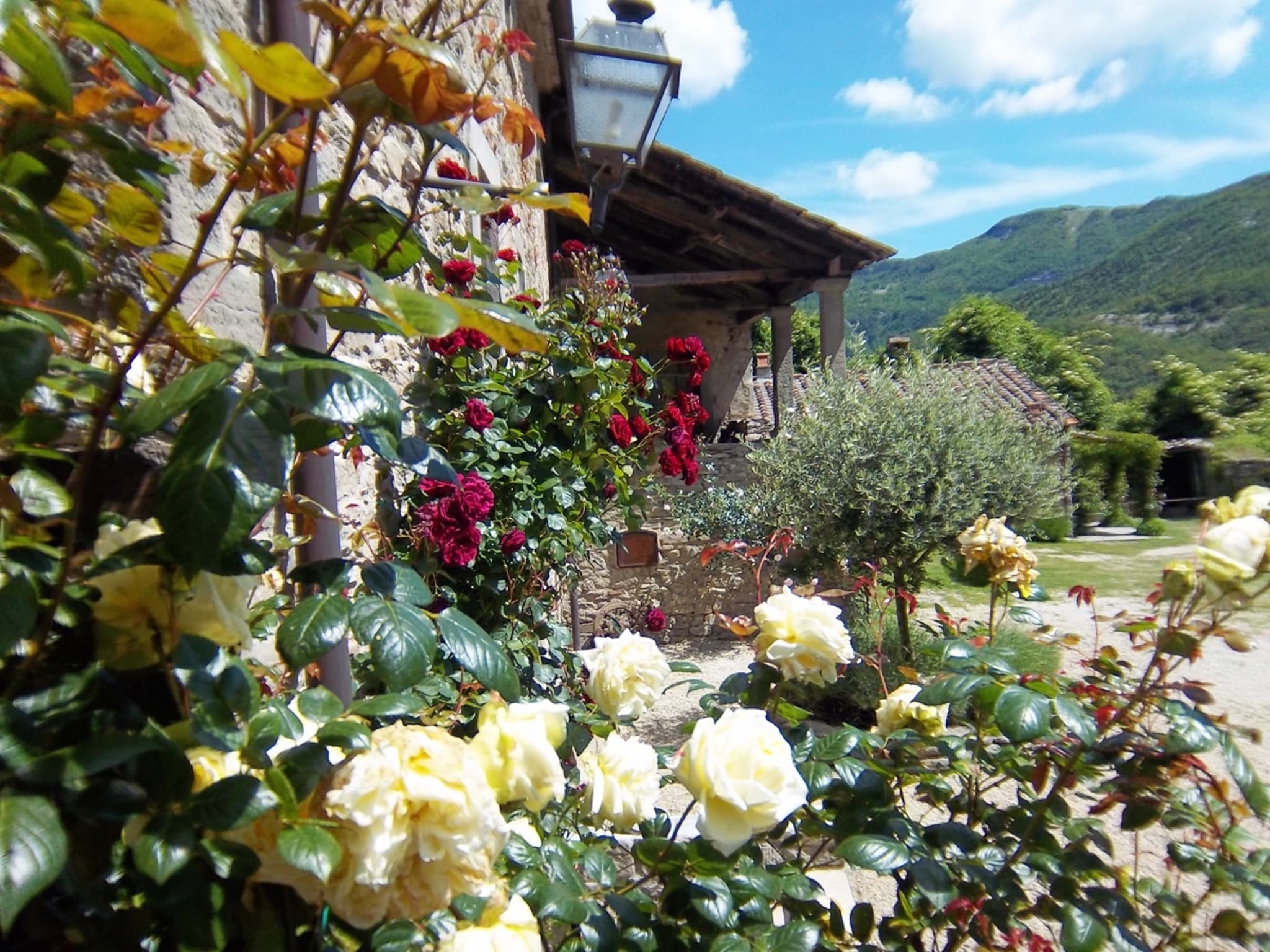   San Godenzo Casa Grande 1