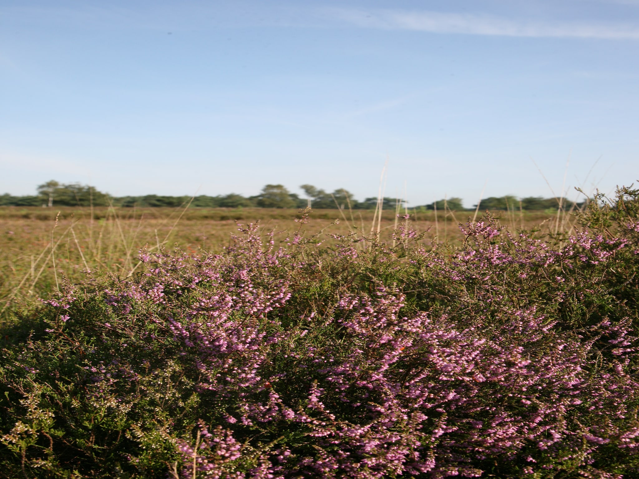   Landgoed Het Grote Zand 1