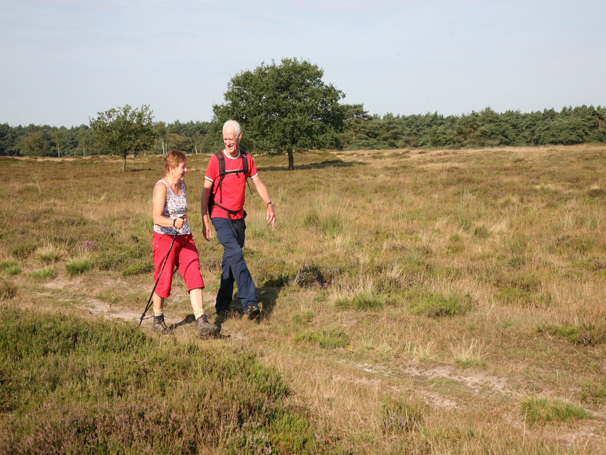   Landgoed Het Grote Zand 1