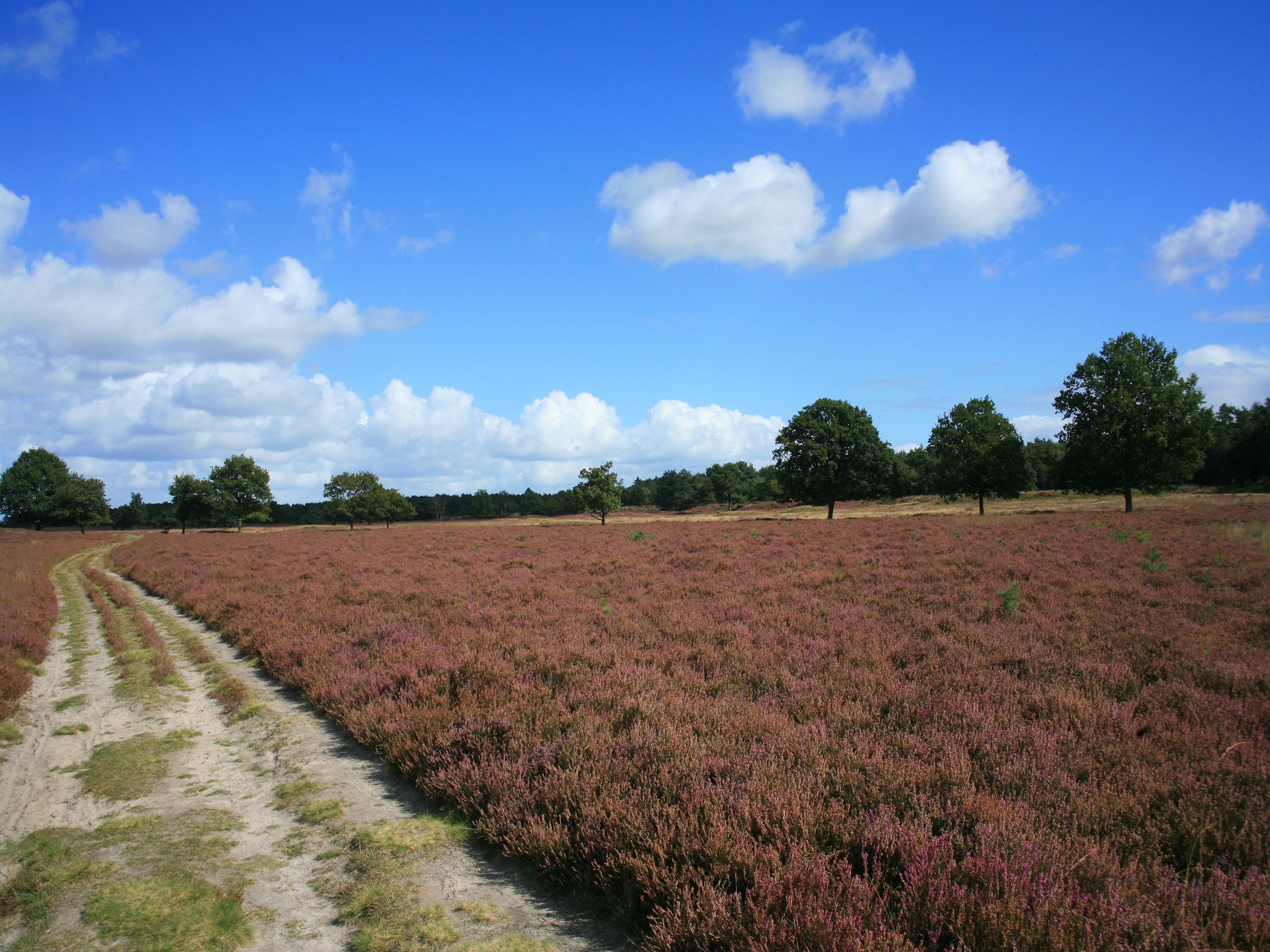   Landgoed Het Grote Zand 1