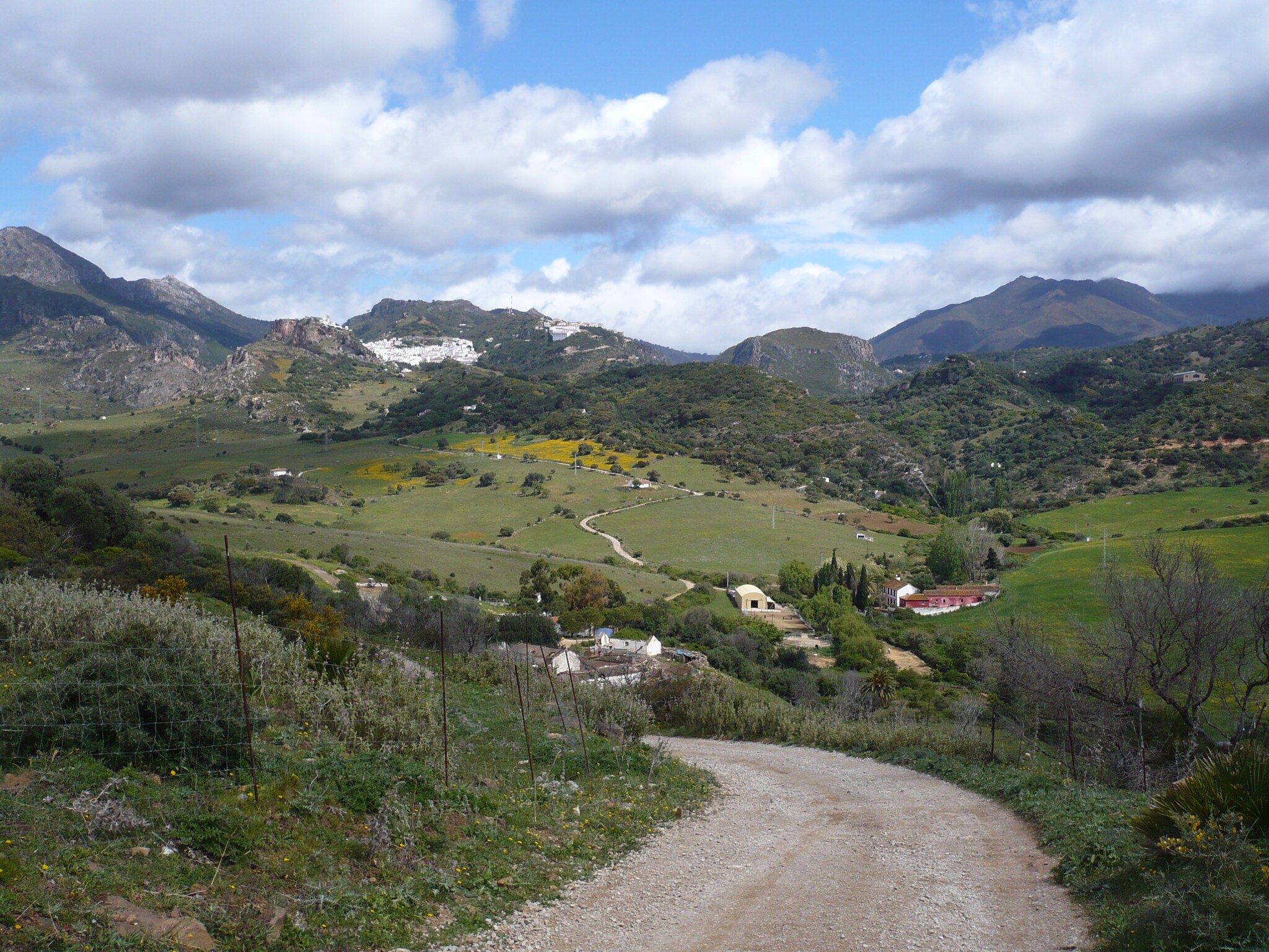   Las Cerezas
