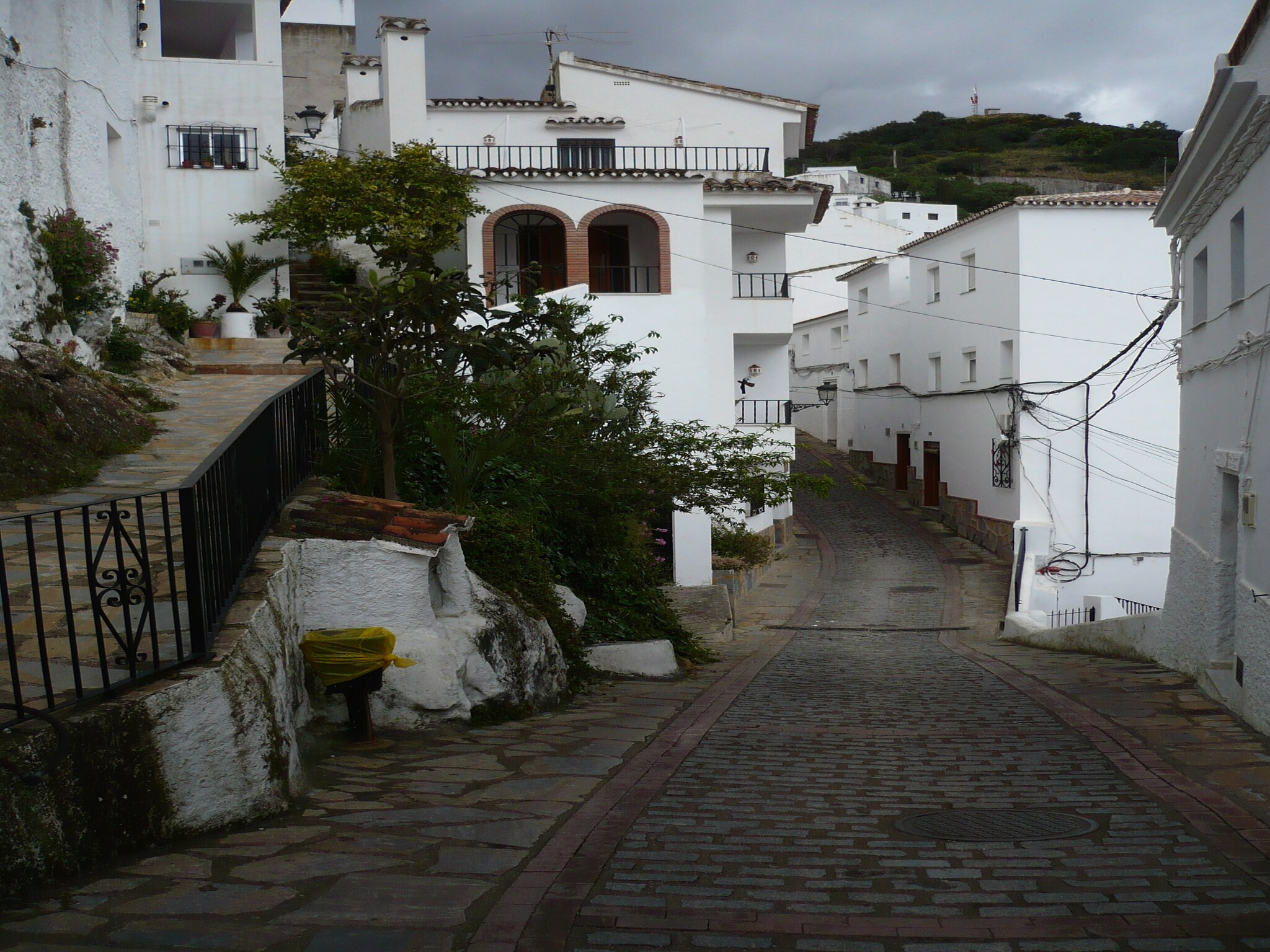   Las Cerezas
