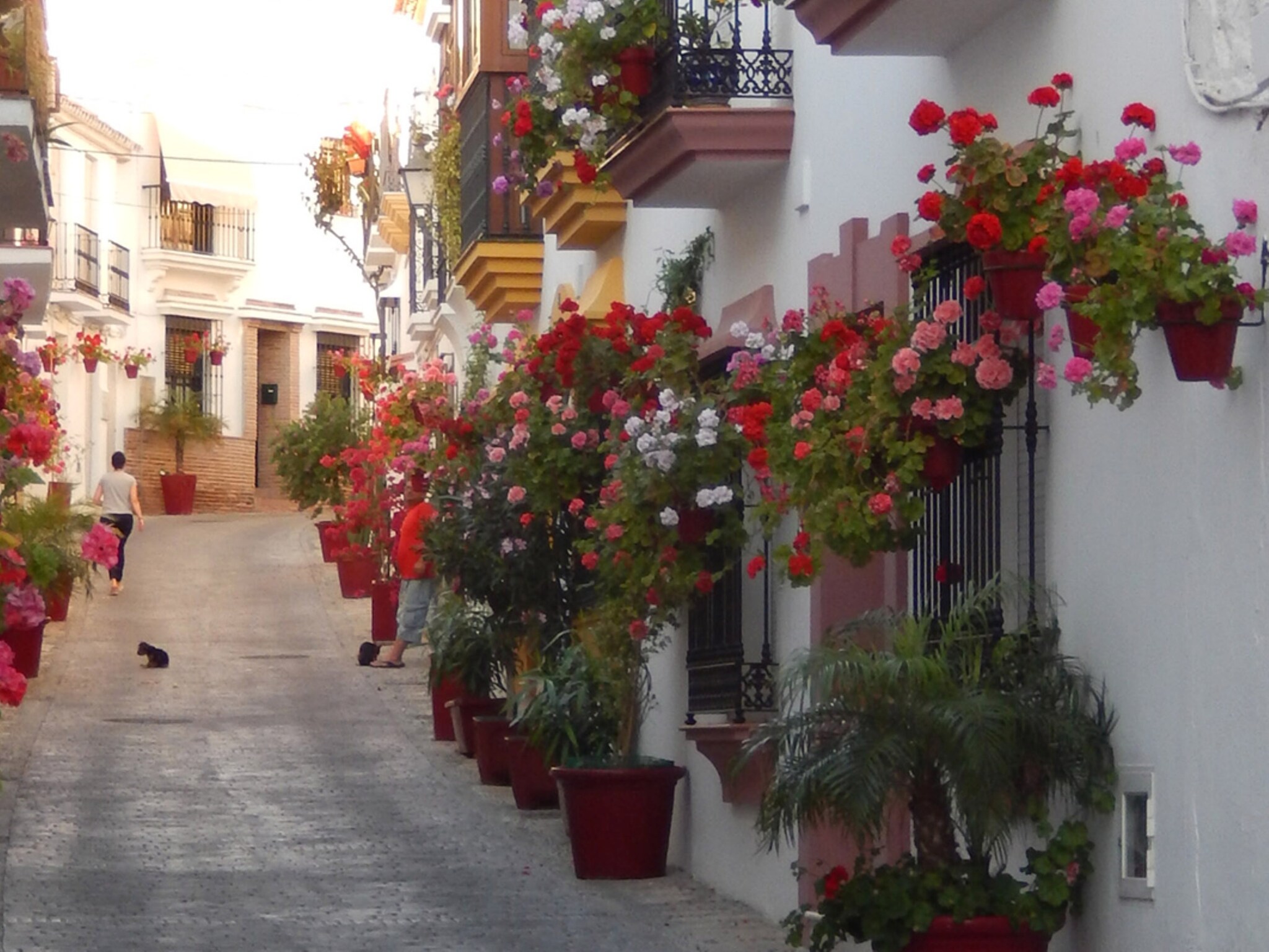   Las Cerezas