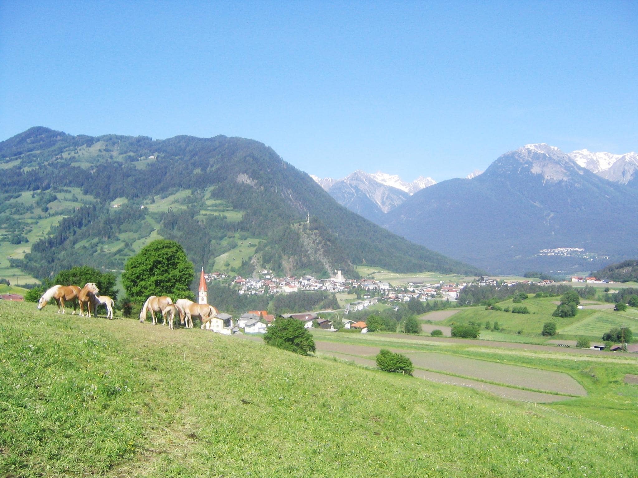 Ferienwohnung Lechner Alpenrose