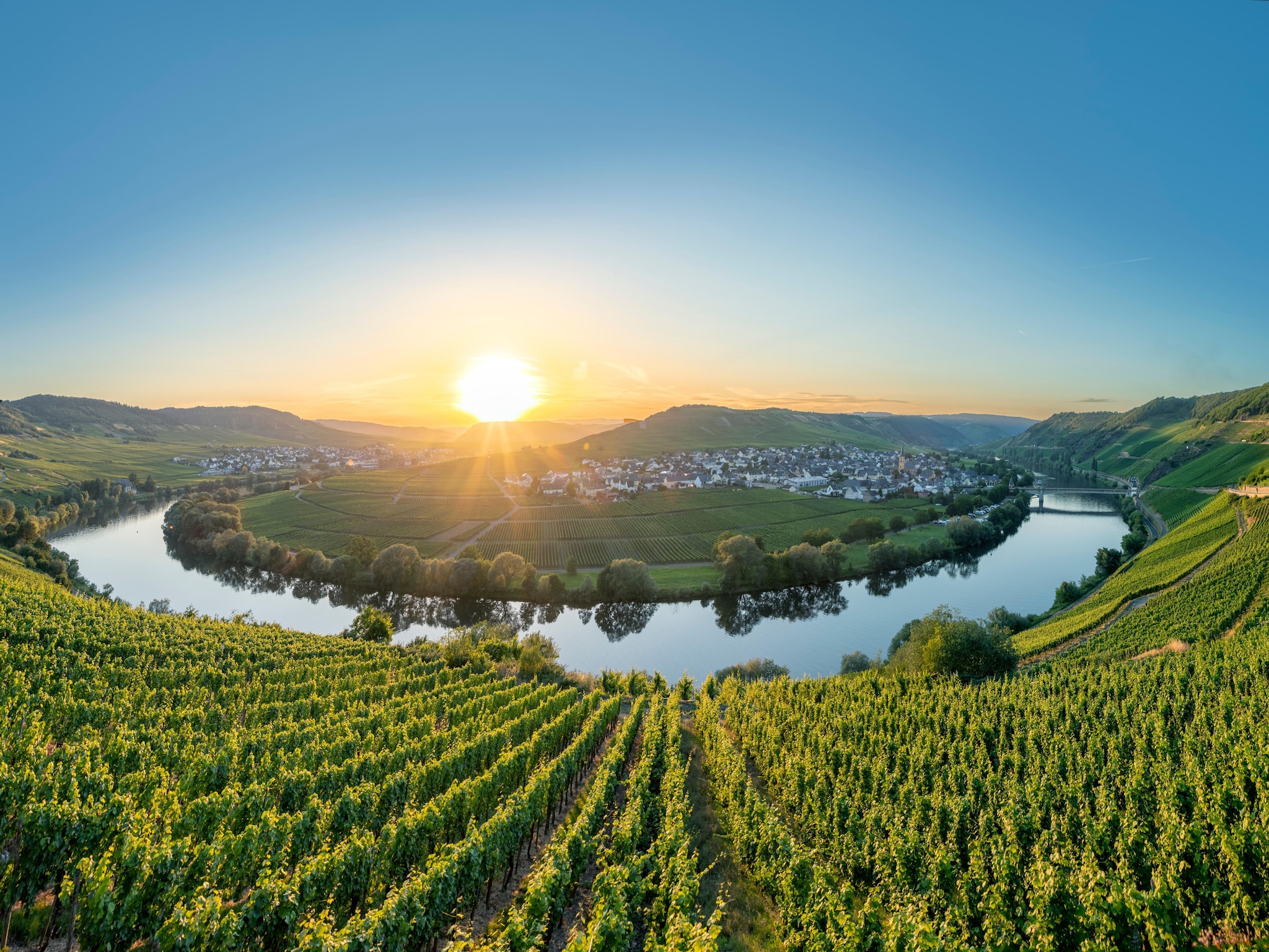 Appartement Ferien-Weingut Kirch