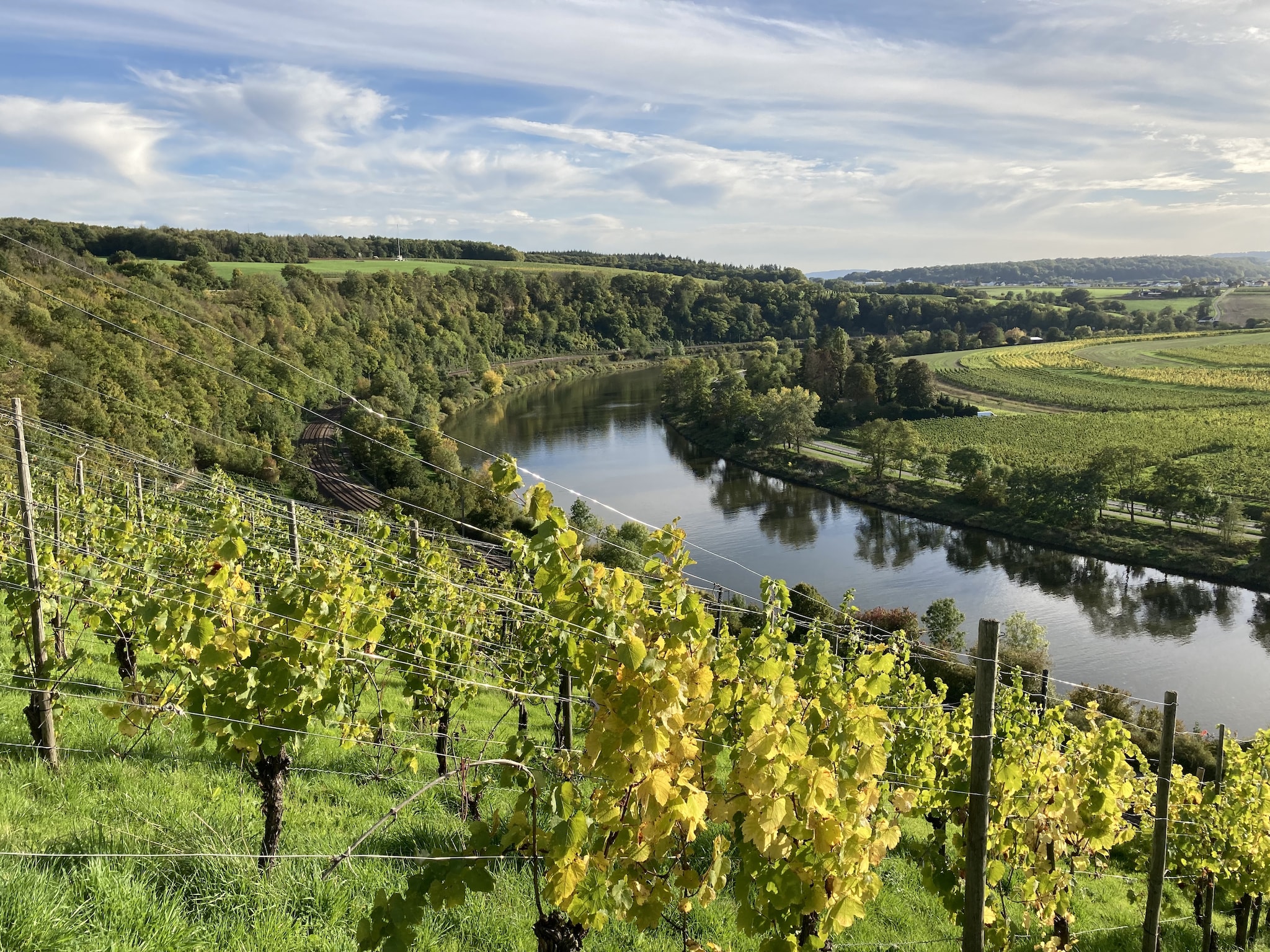 Appartement Ferien-Weingut Kirch