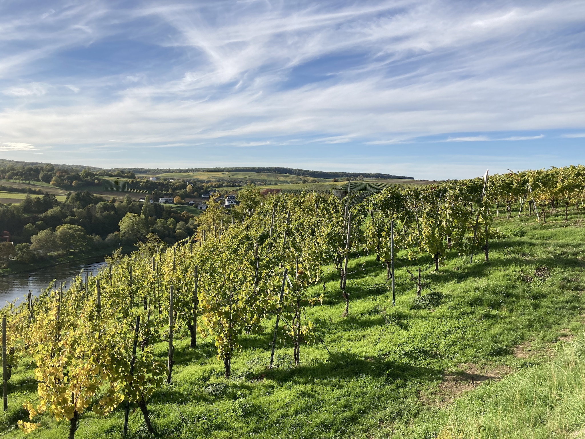Appartement Ferien-Weingut Kirch