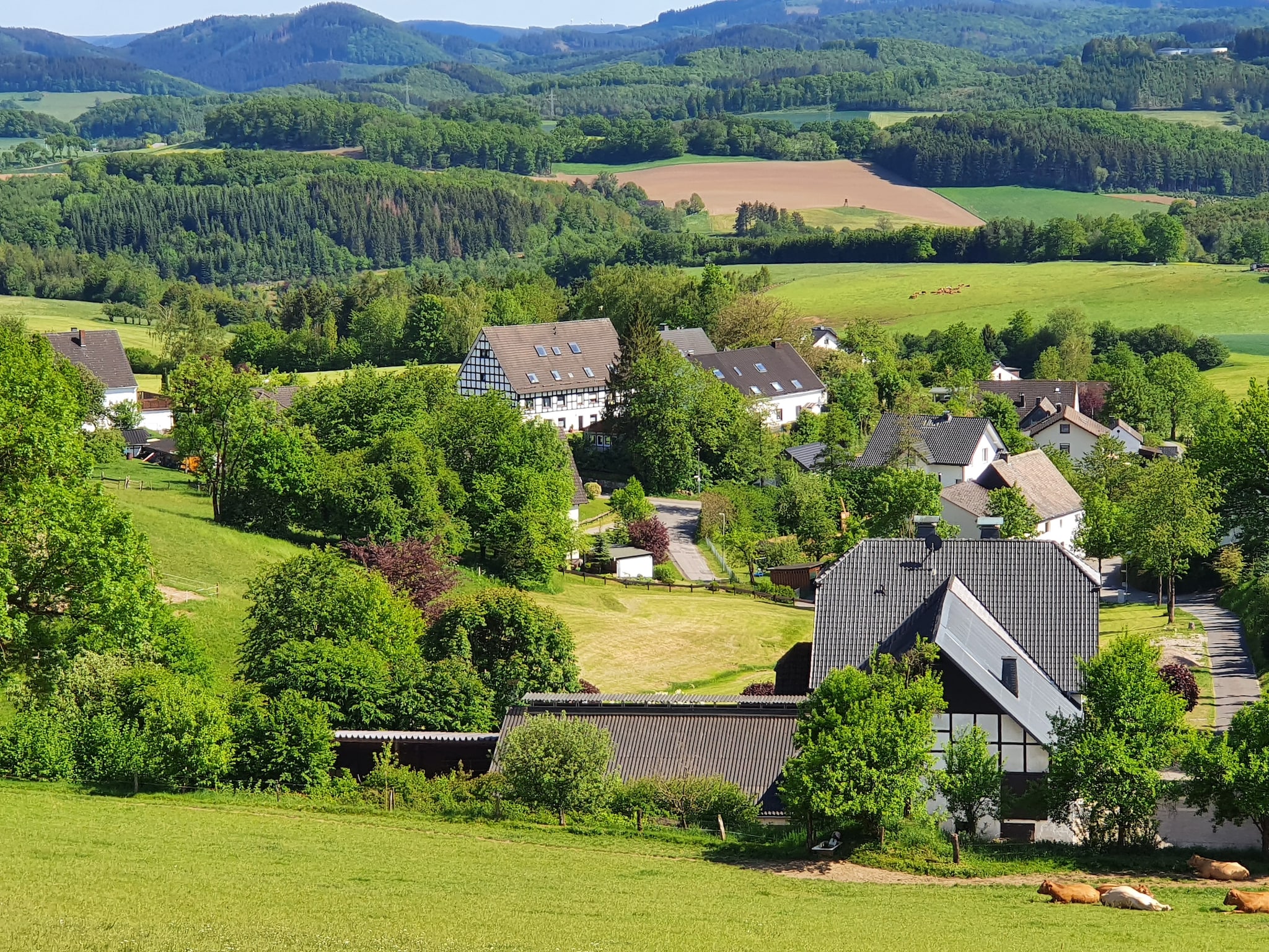 Ferienwohnung Ferienwohnung Silbecke