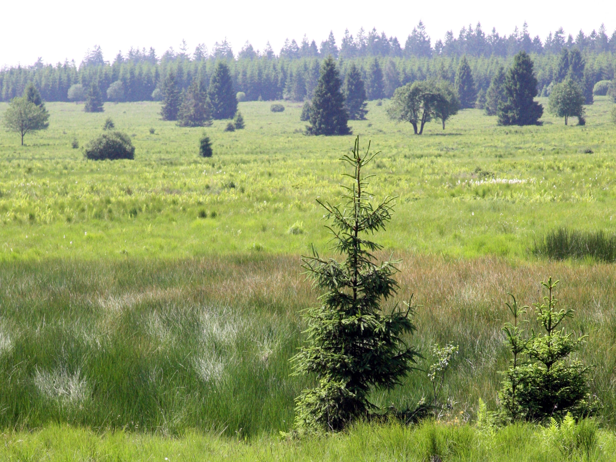 Vakantiehuis Hautes Fagnes
