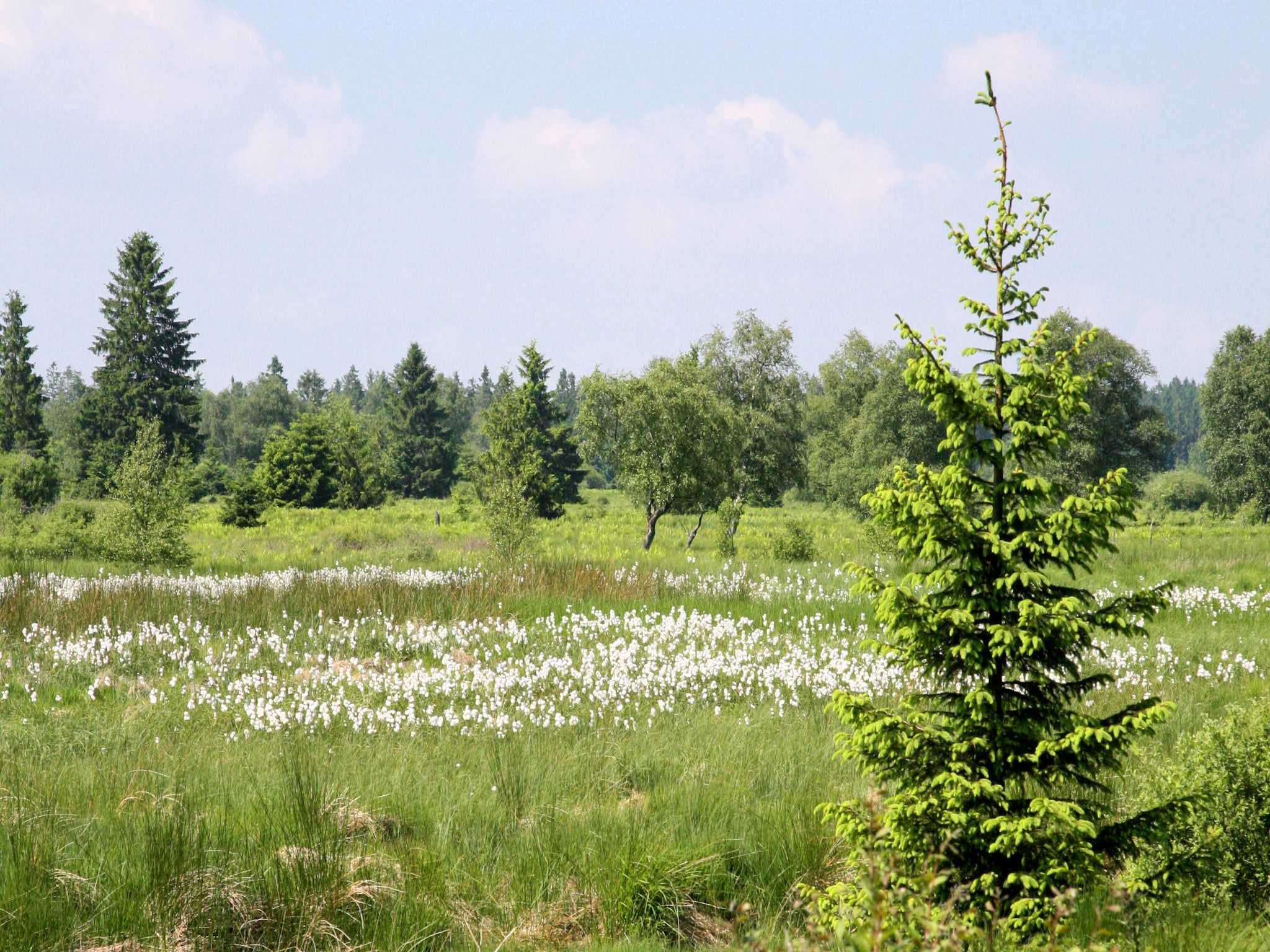 Vakantiehuis Hautes Fagnes