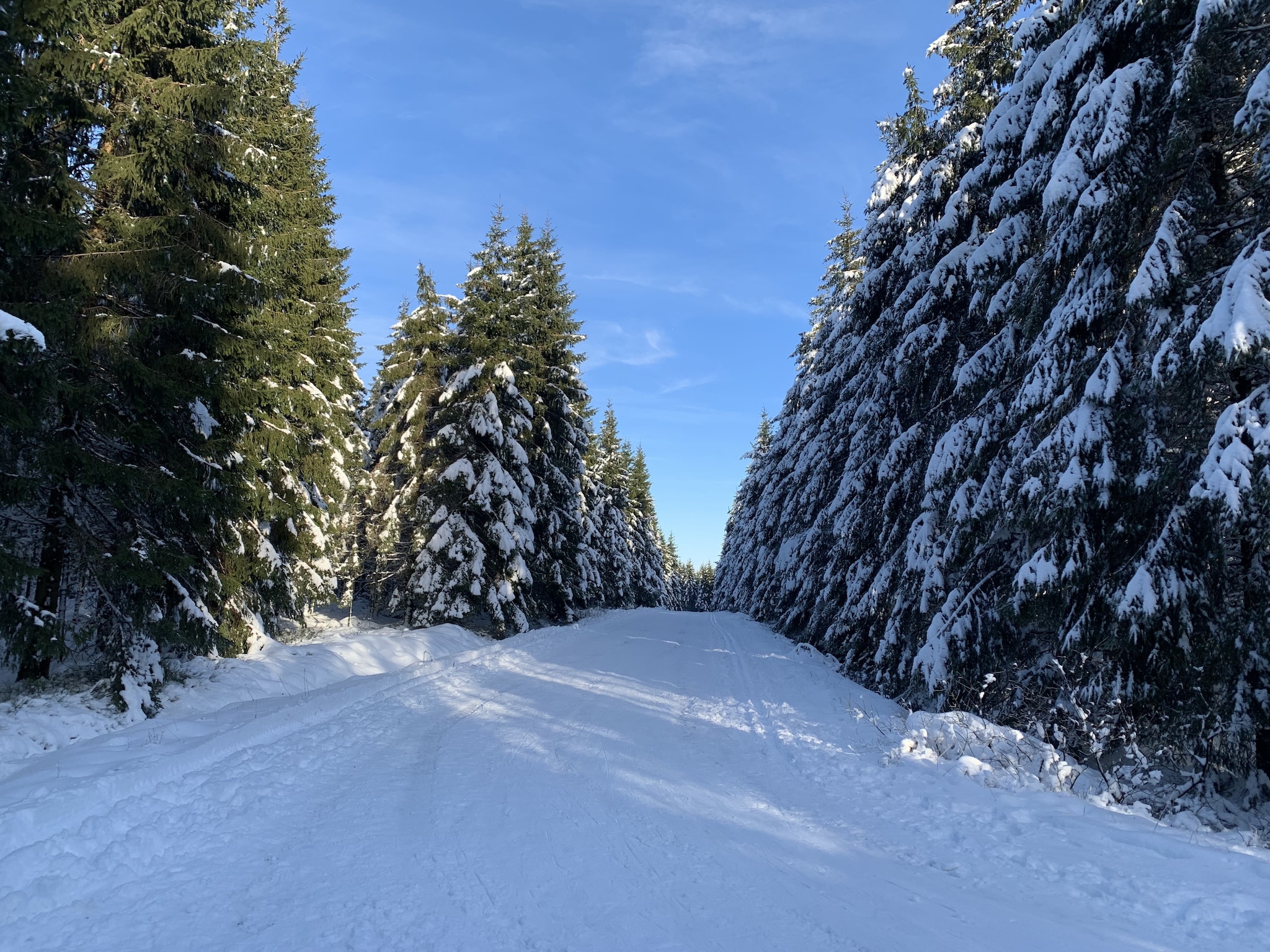 Vakantiehuis Hautes Fagnes