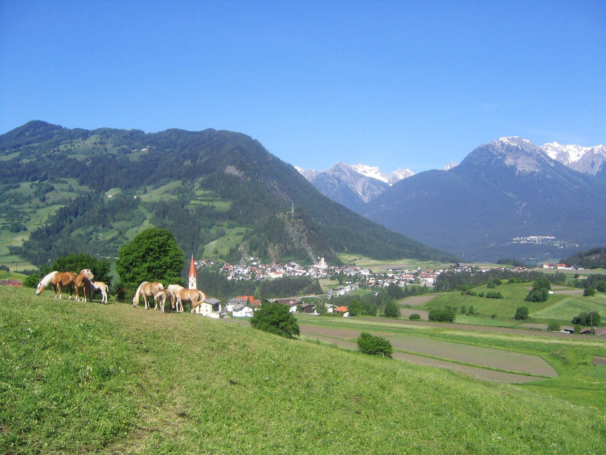 Appartement Lechner Edelweiss
