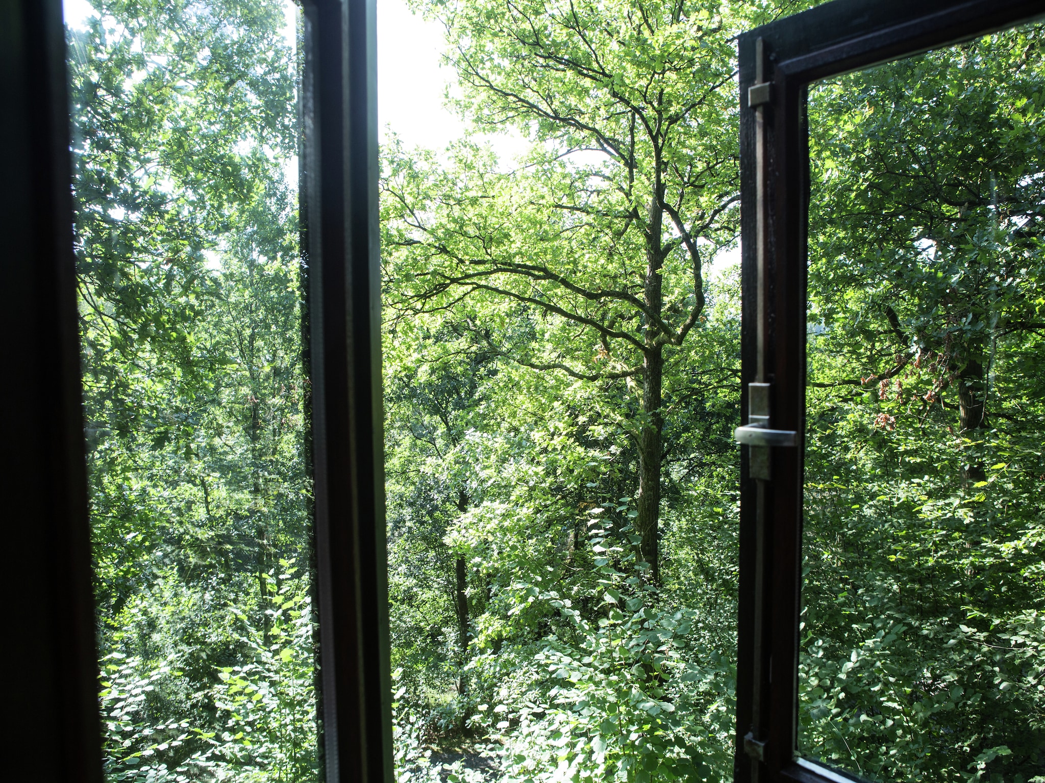 Vacation home Le Colombier 204