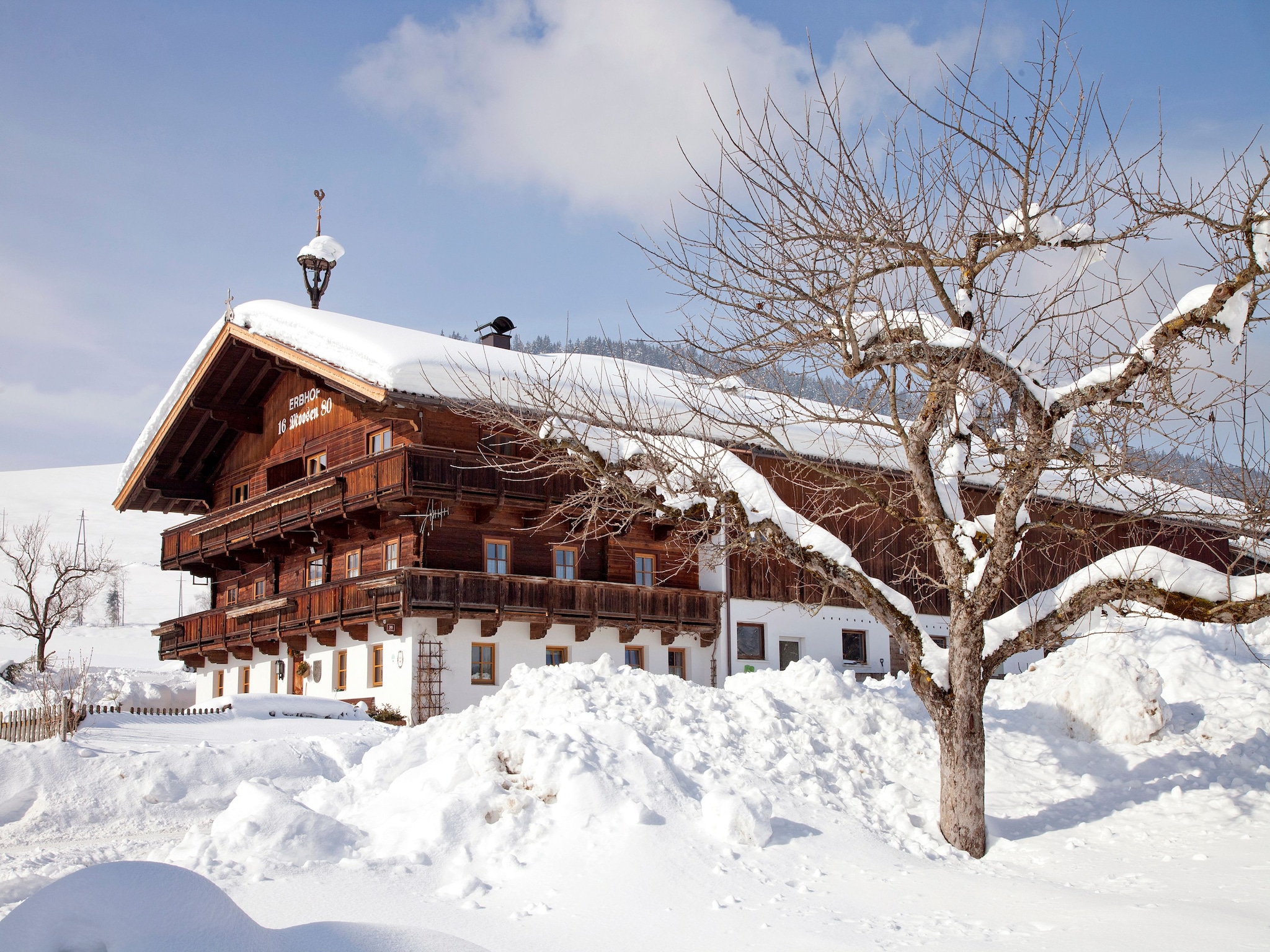 Ferienwohnung Alpenrose