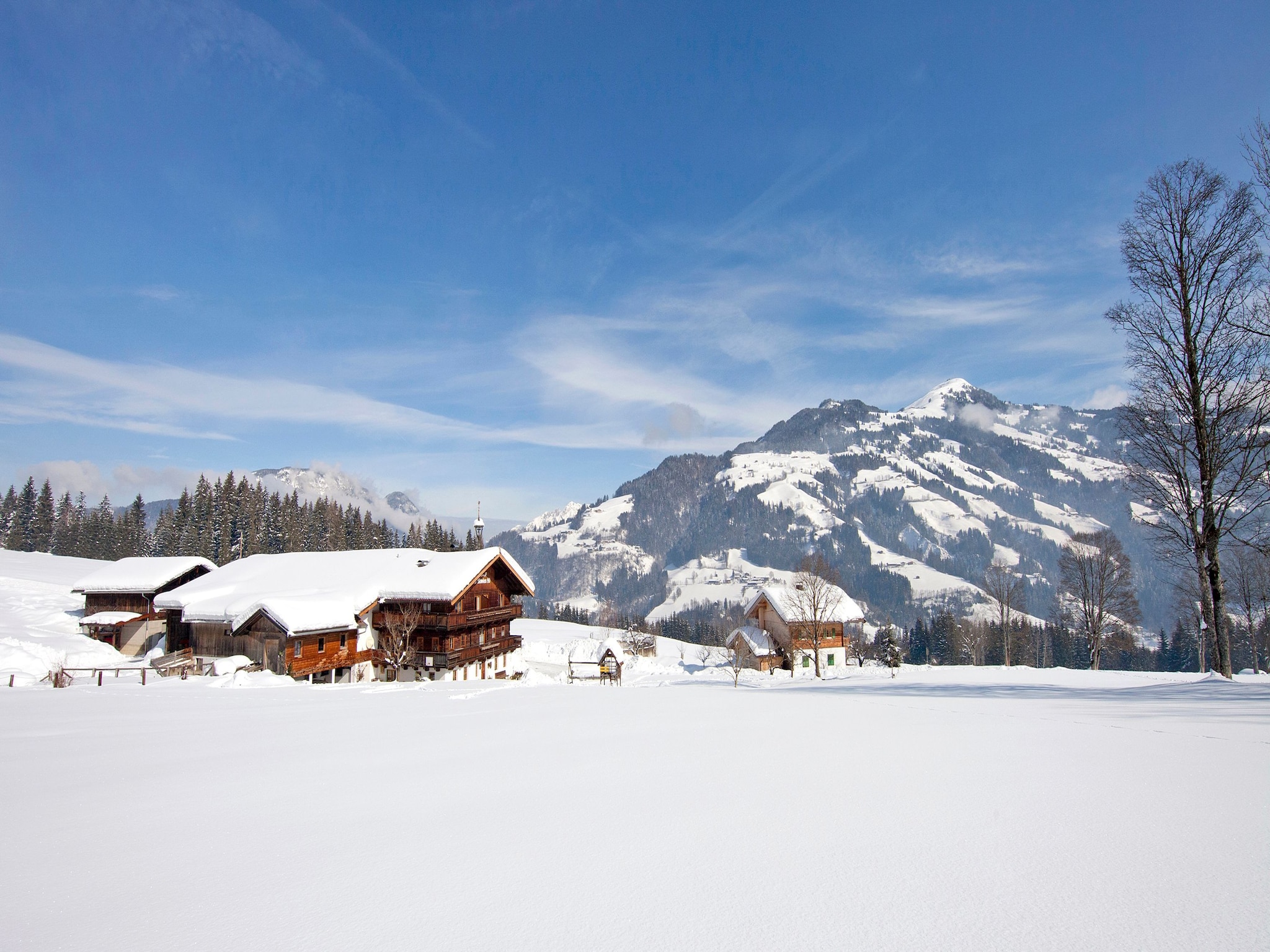 Ferienwohnung Alpenrose