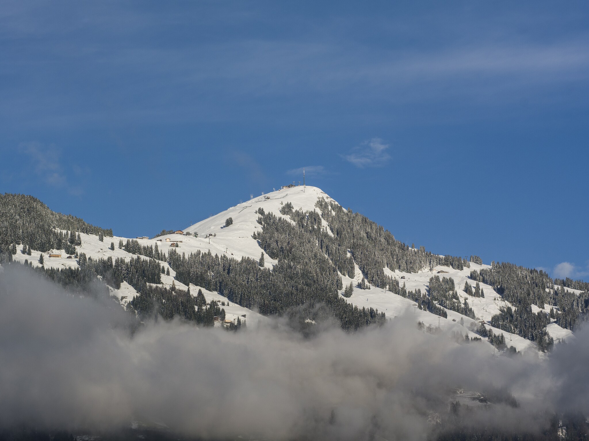 Ferienwohnung Alpenrose