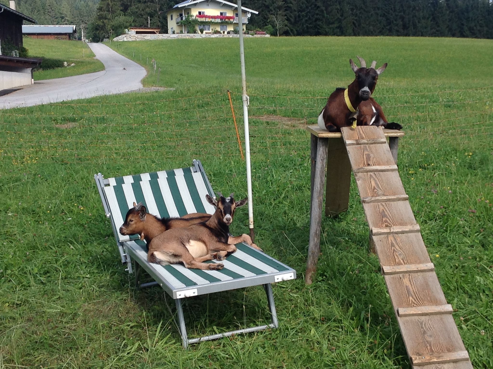 Ferienwohnung Alpenrose