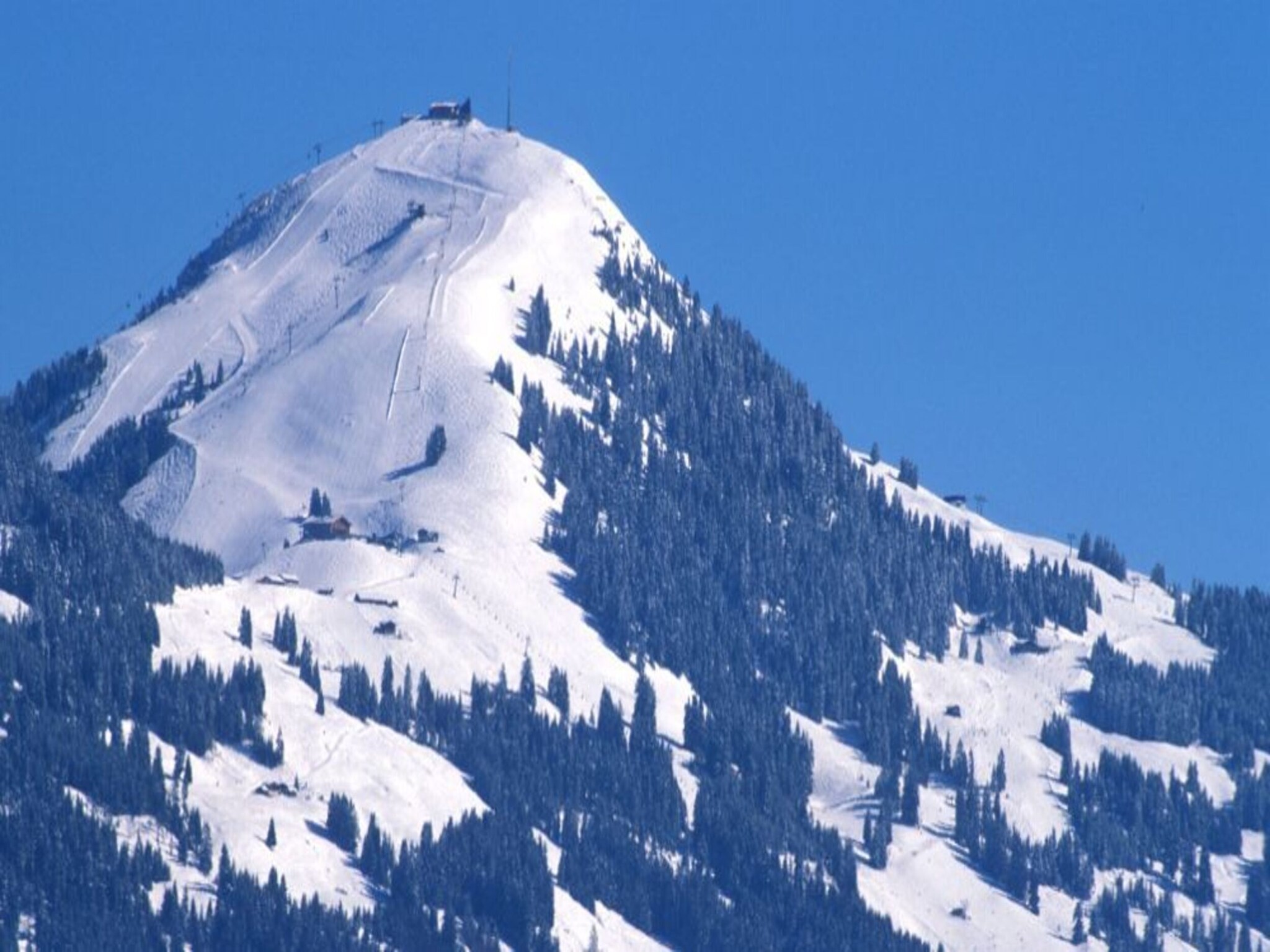 Ferienwohnung Alpenrose