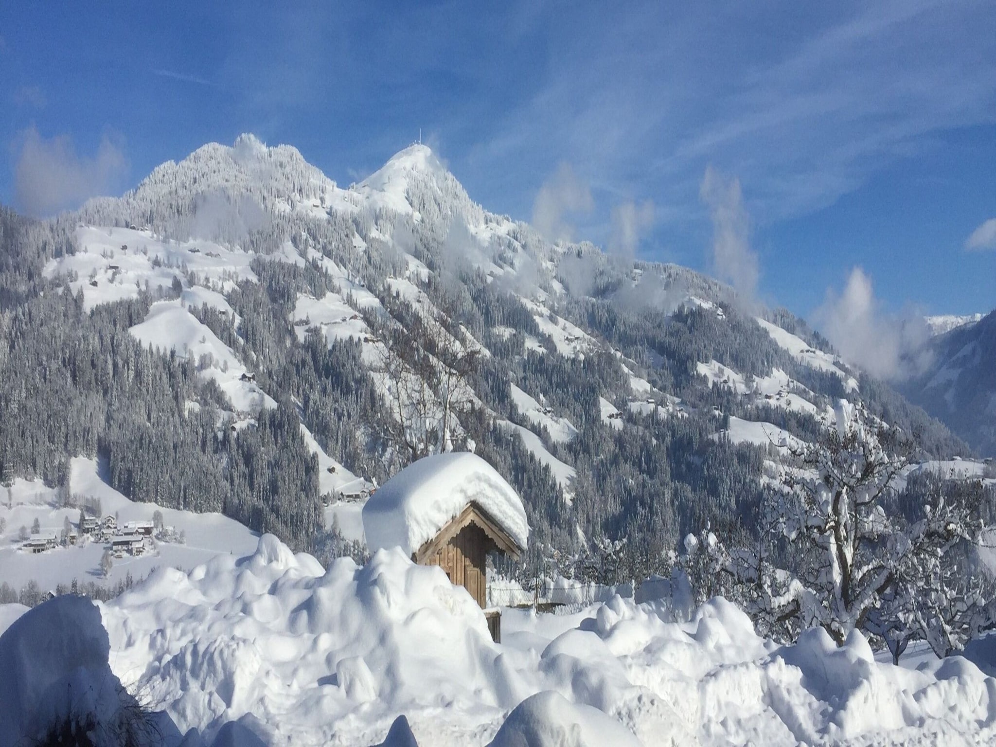 Ferienwohnung Alpenrose
