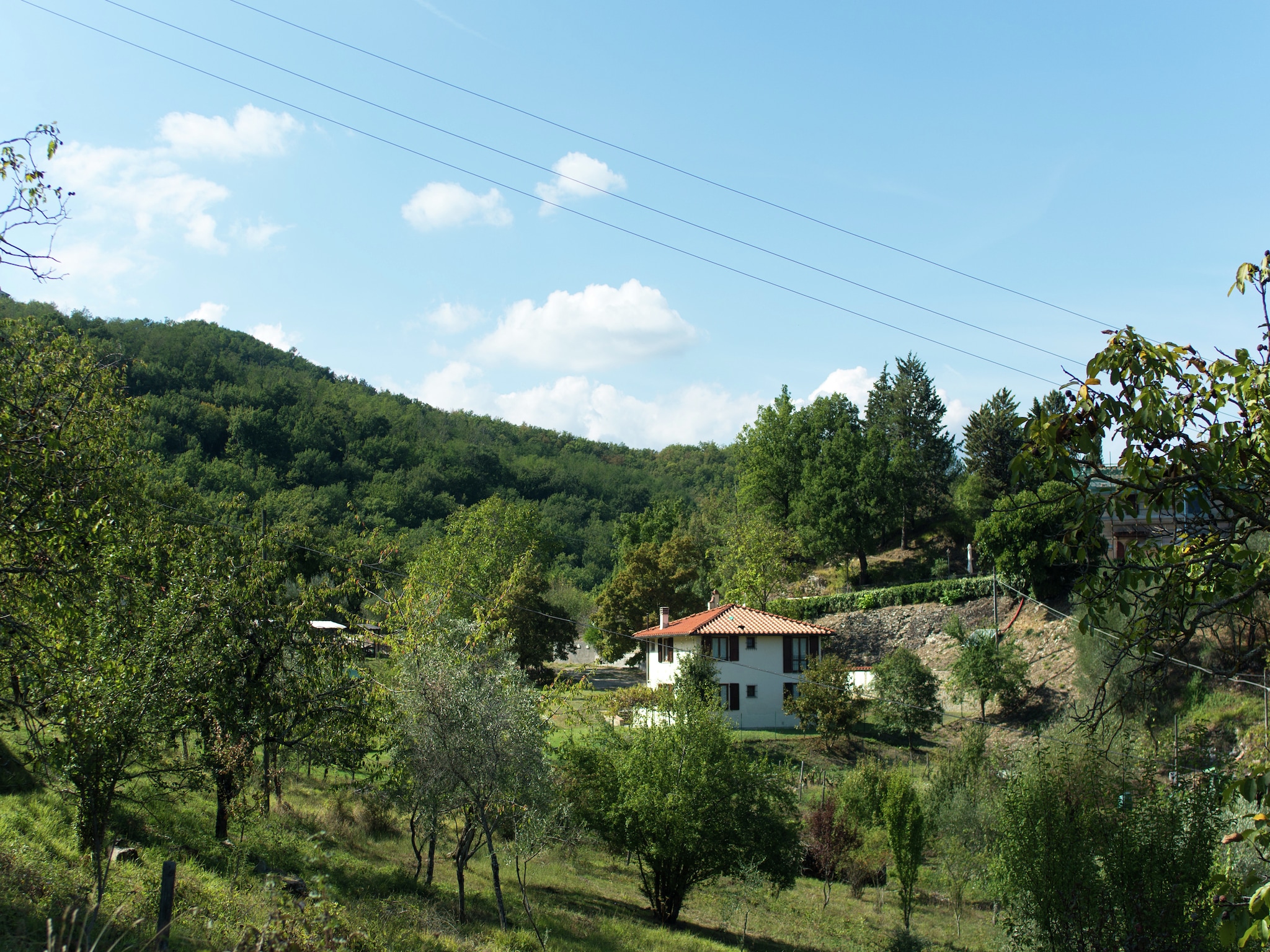   Il Muretto Intero