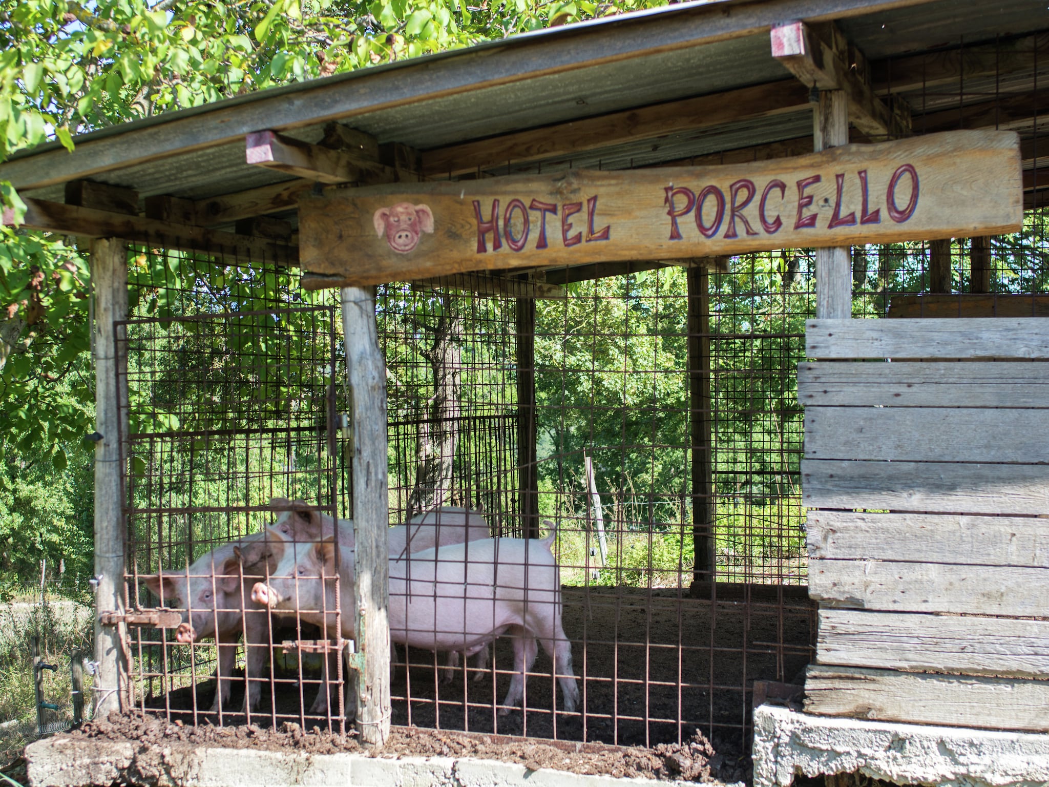   Il Muretto Intero