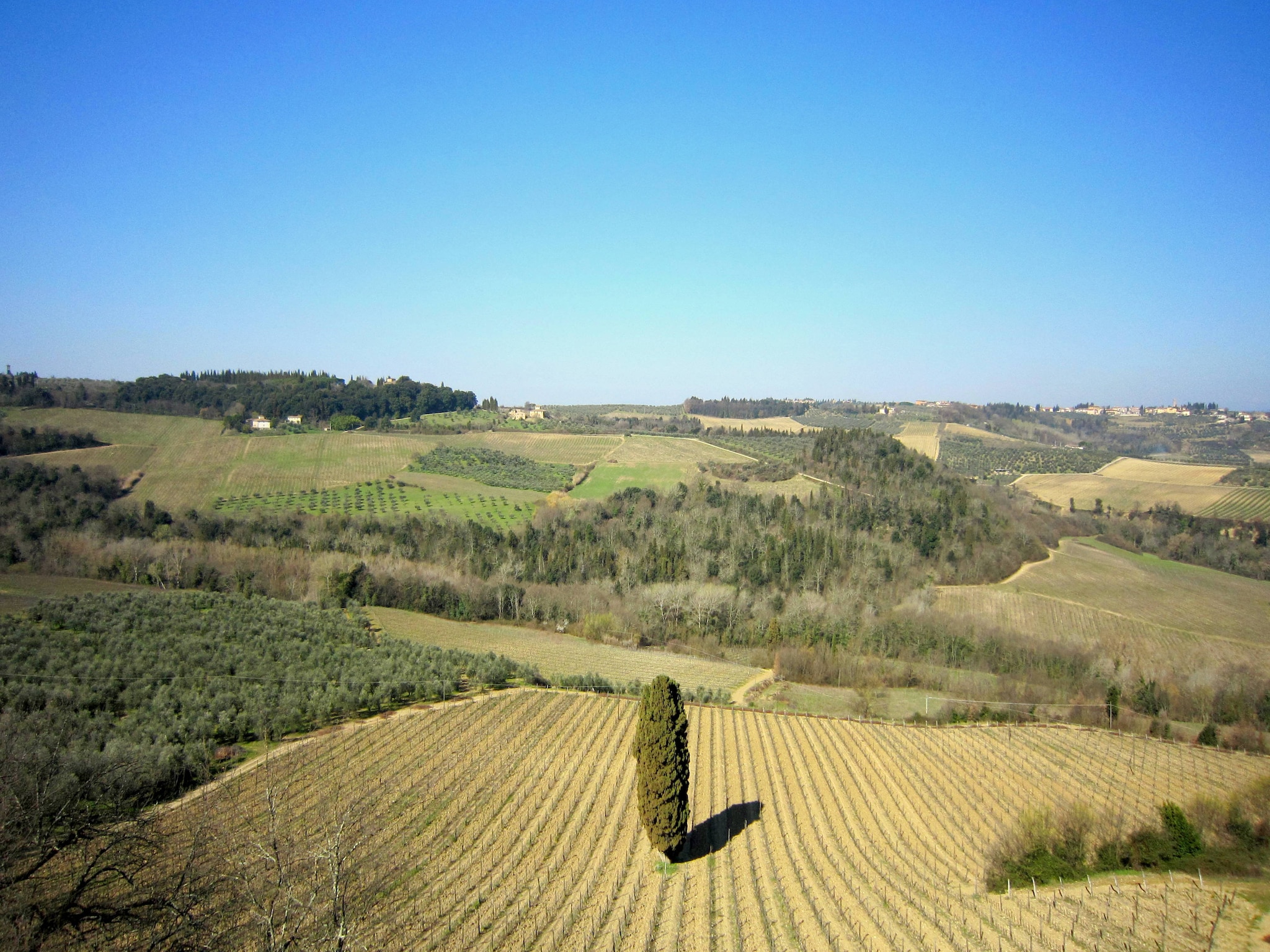   Camino Rosavolta