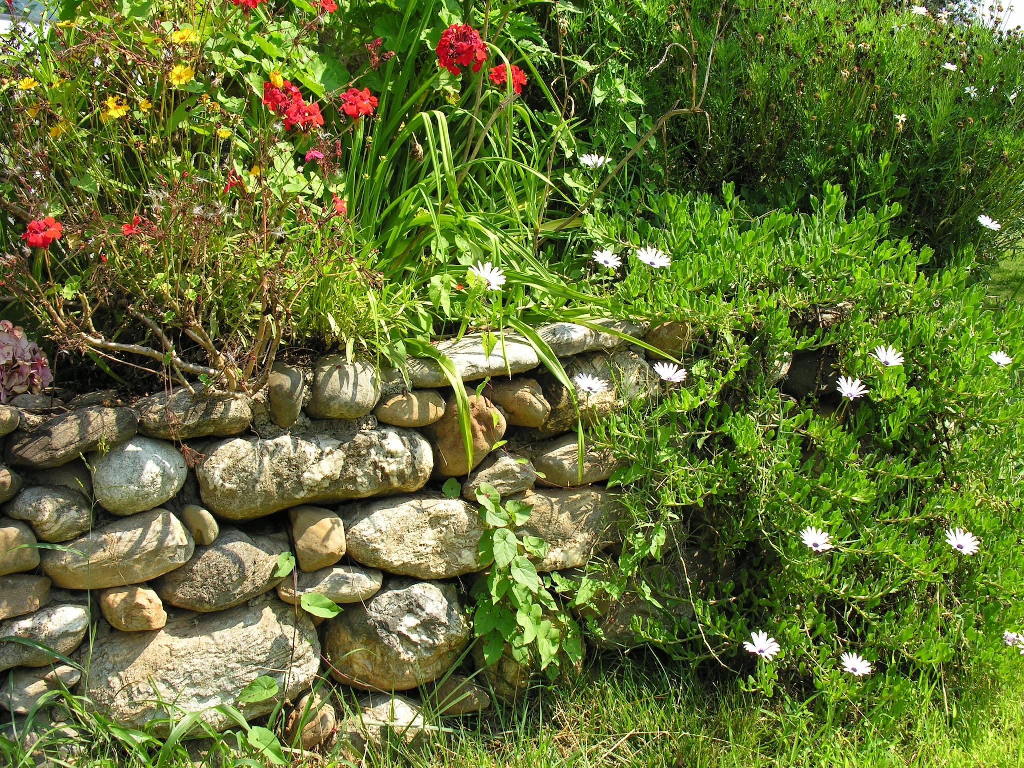   Le Vieux Pressoir