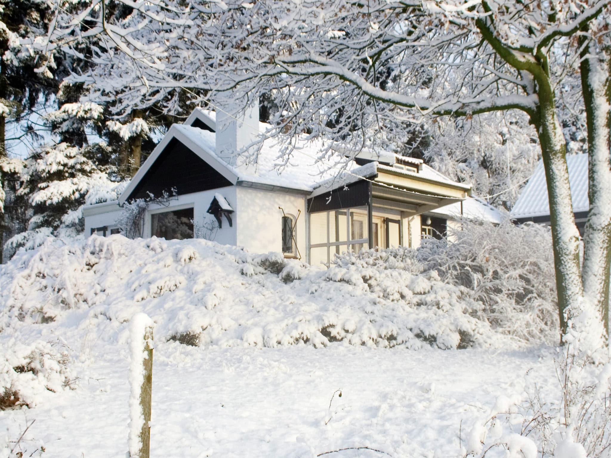 Ferienhaus Huis in het bos