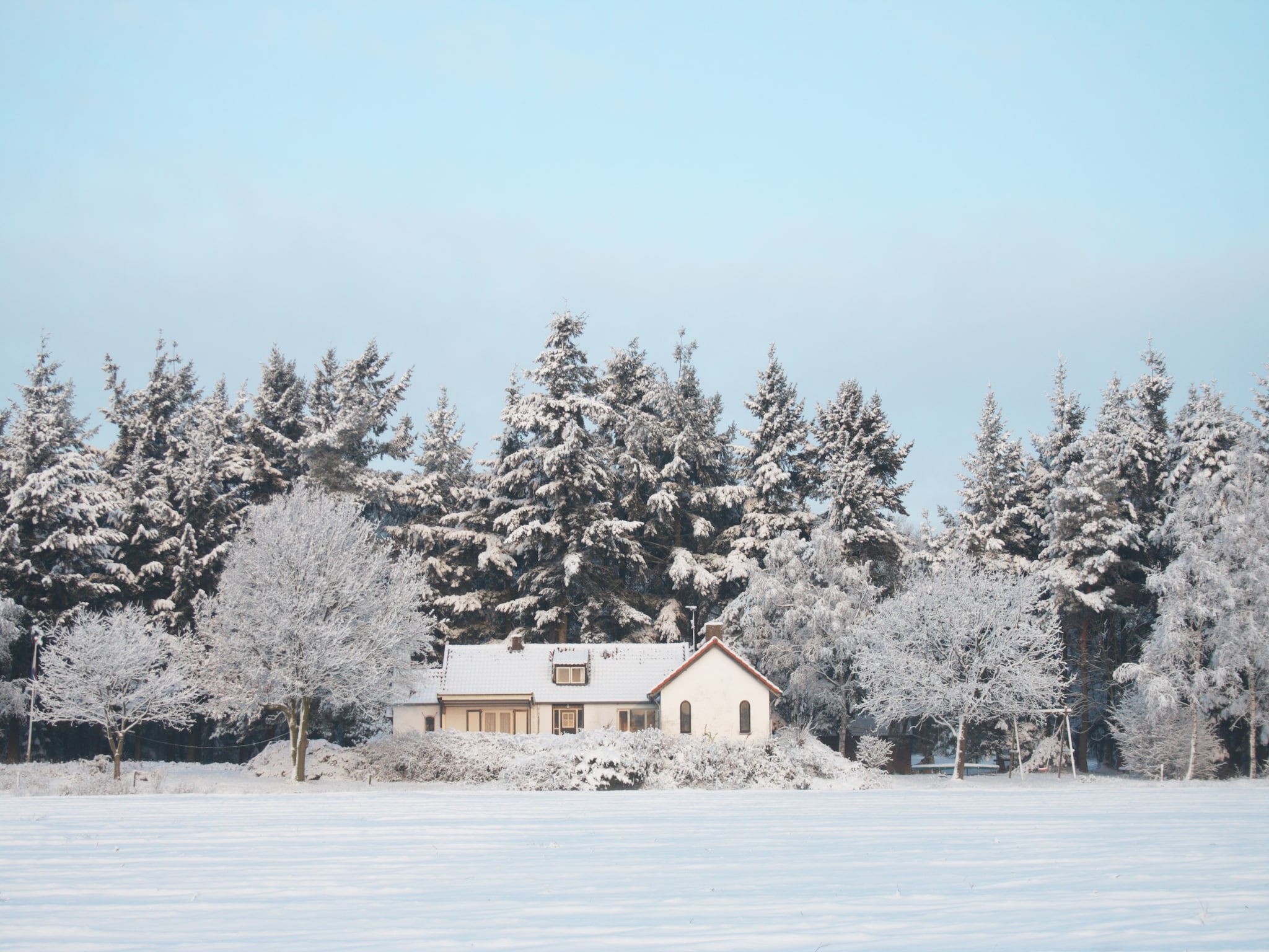 Ferienhaus Huis in het bos