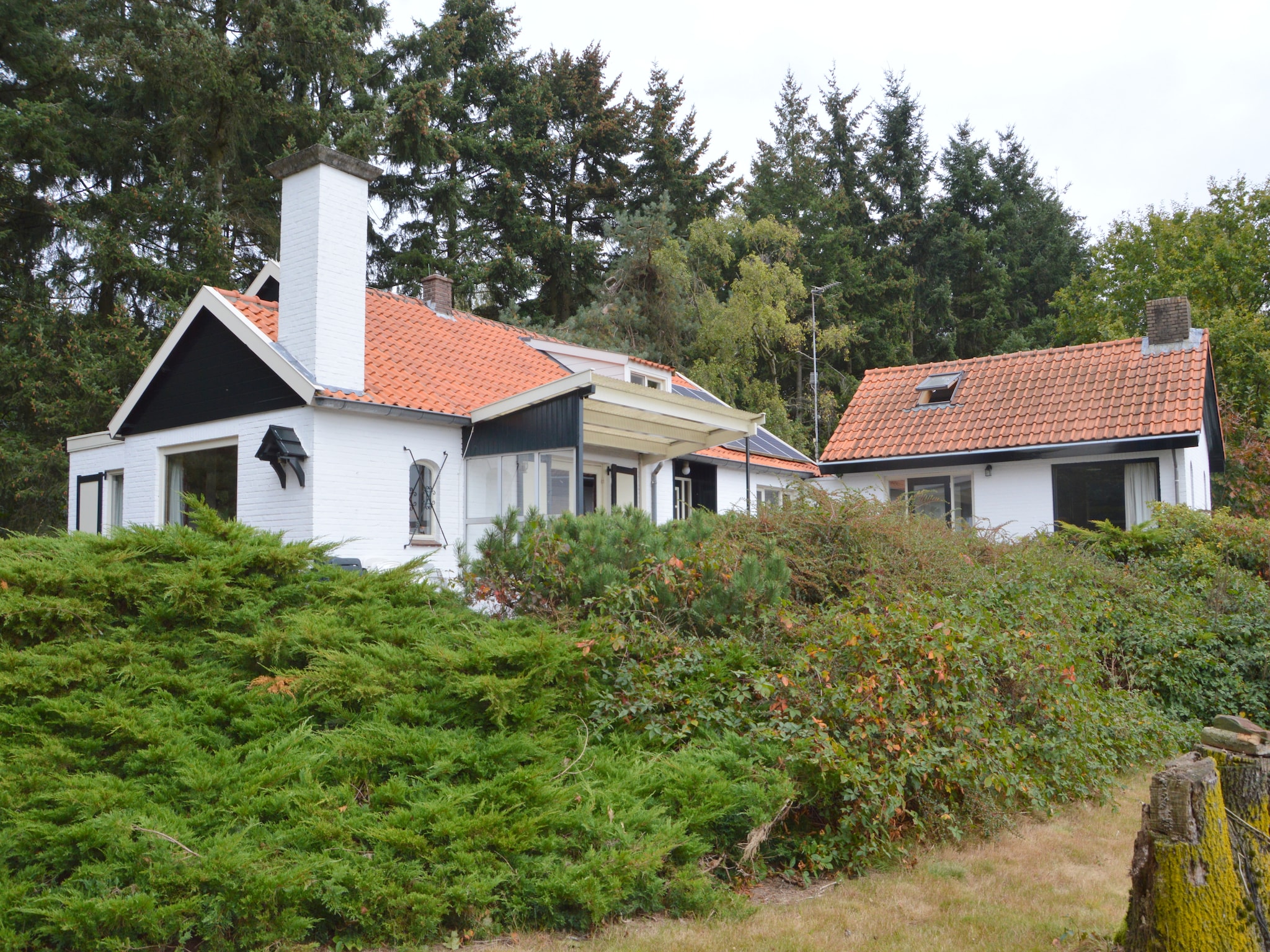 Ferienhaus Huis in het bos