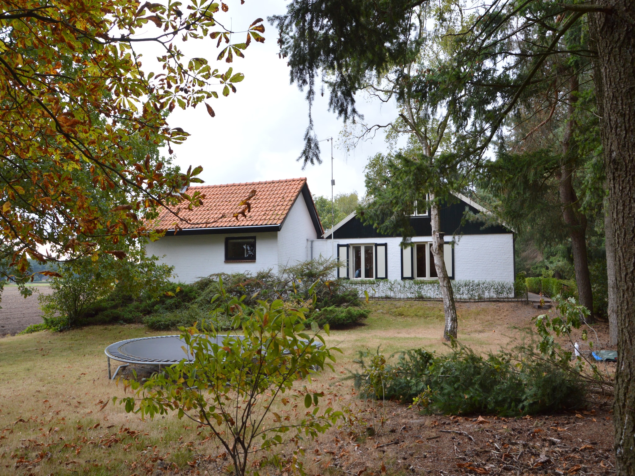 Ferienhaus Huis in het bos