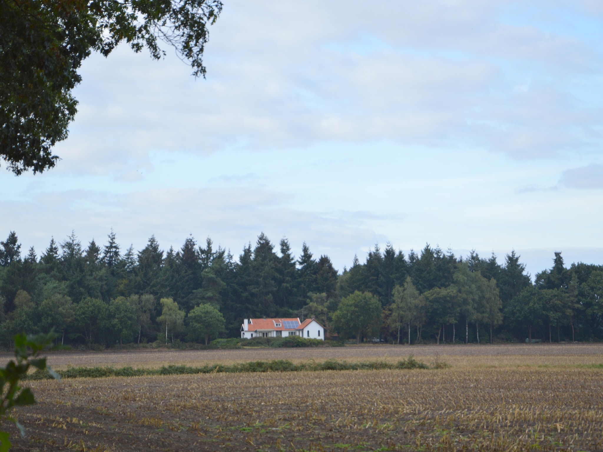 Ferienhaus Huis in het bos