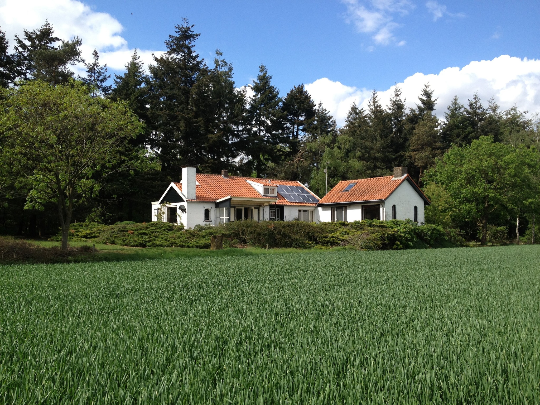 Ferienhaus Huis in het bos